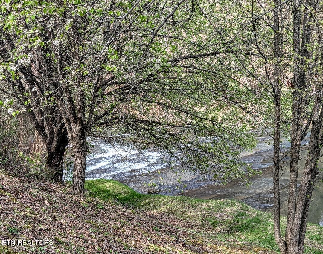 Mountain Ridge Way Sevierville TN 37862