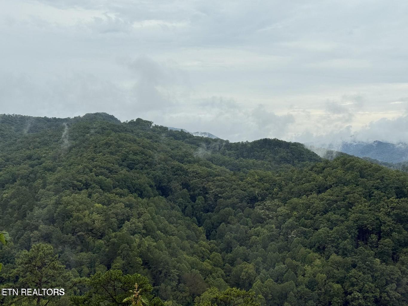 Mountain Ridge Way Sevierville TN 37862