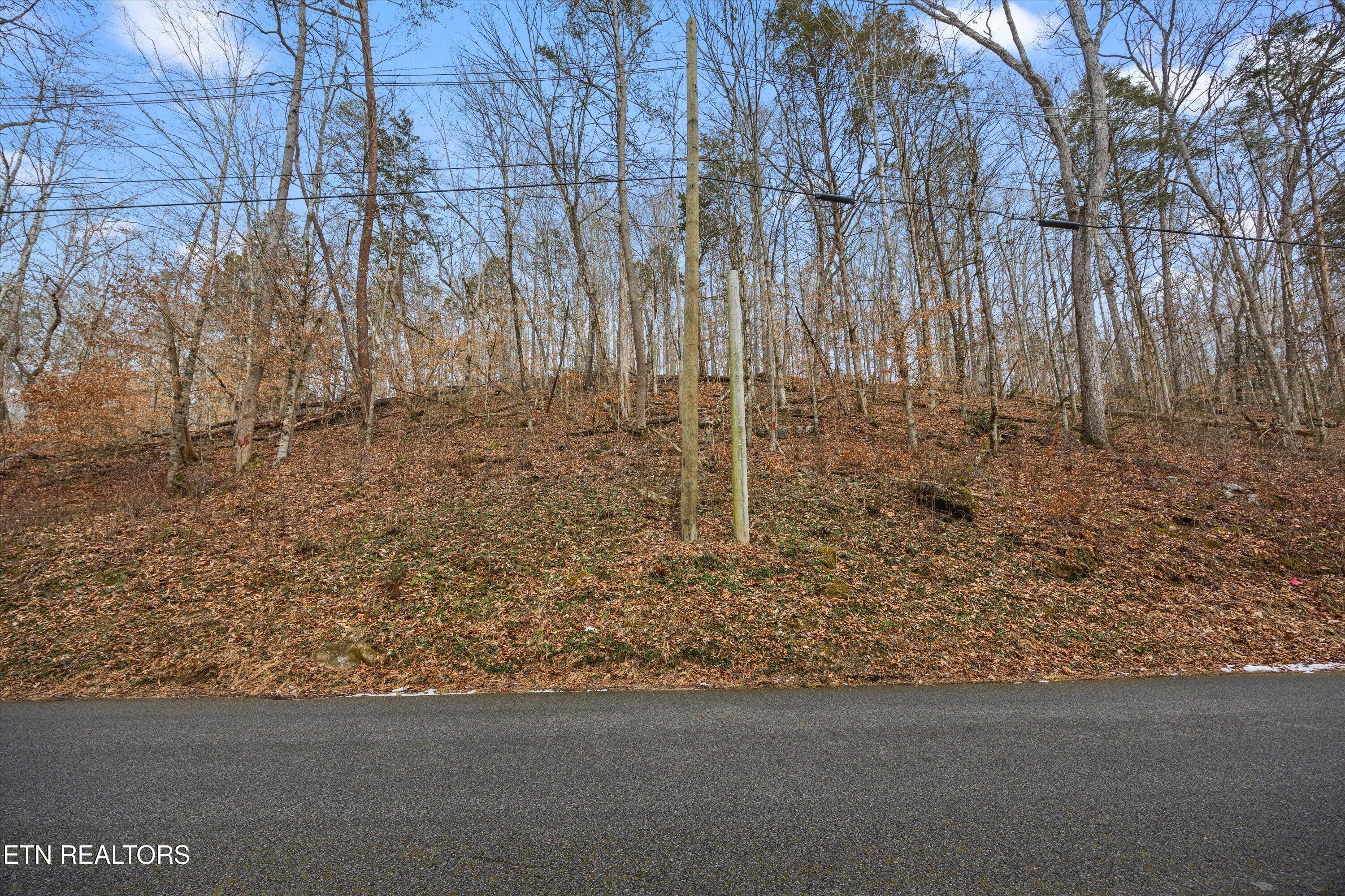 Fox Hollow Lane Andersonville TN 37705