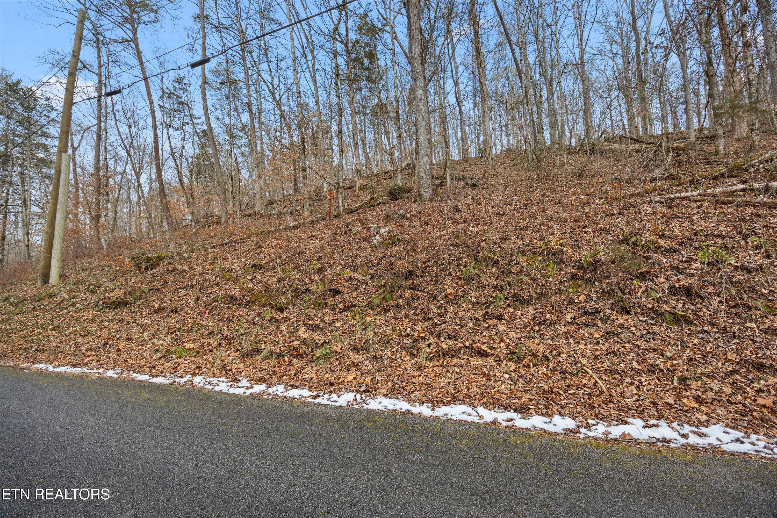 Fox Hollow Lane Andersonville TN 37705