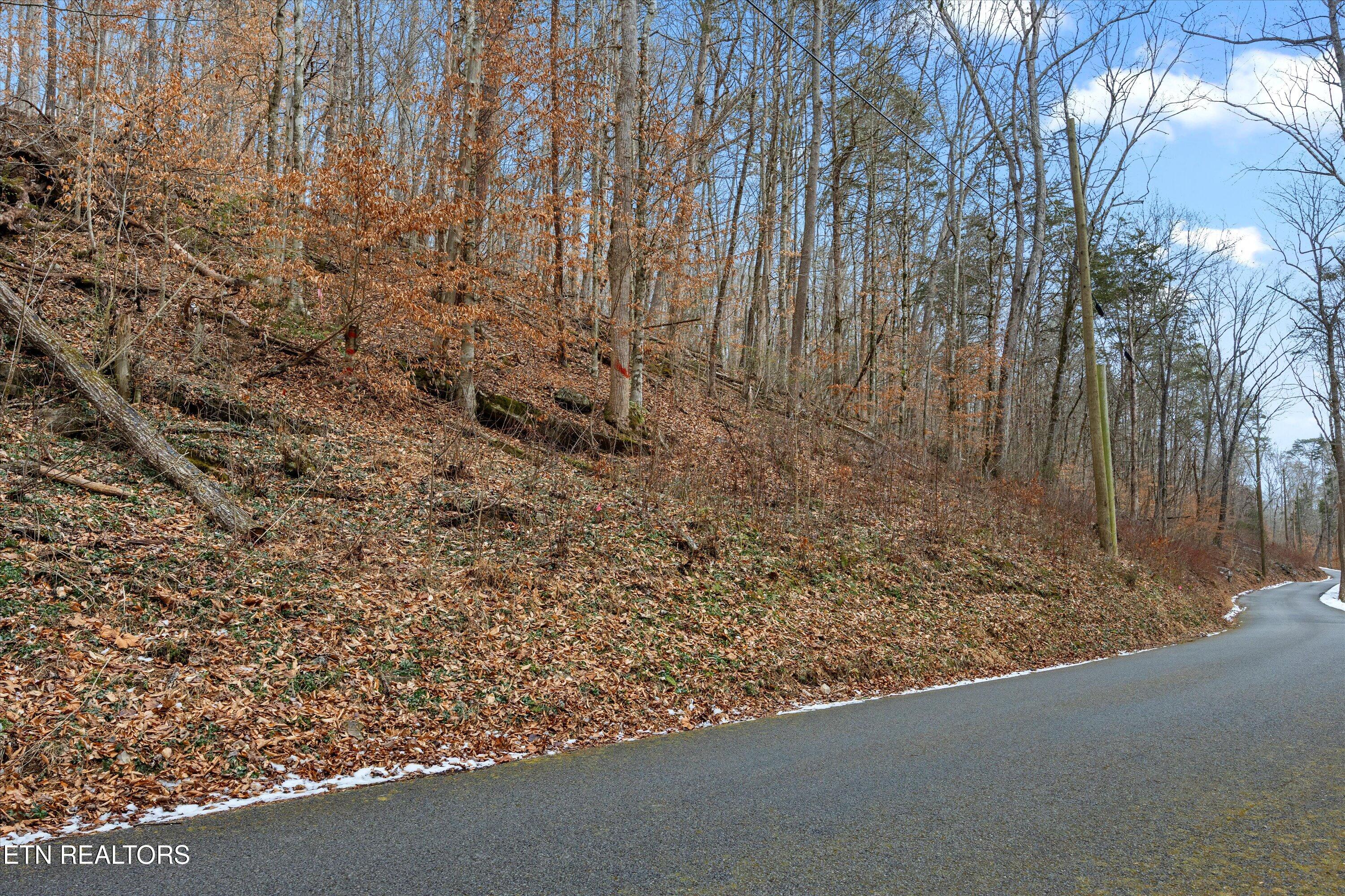 Fox Hollow Lane Andersonville TN 37705