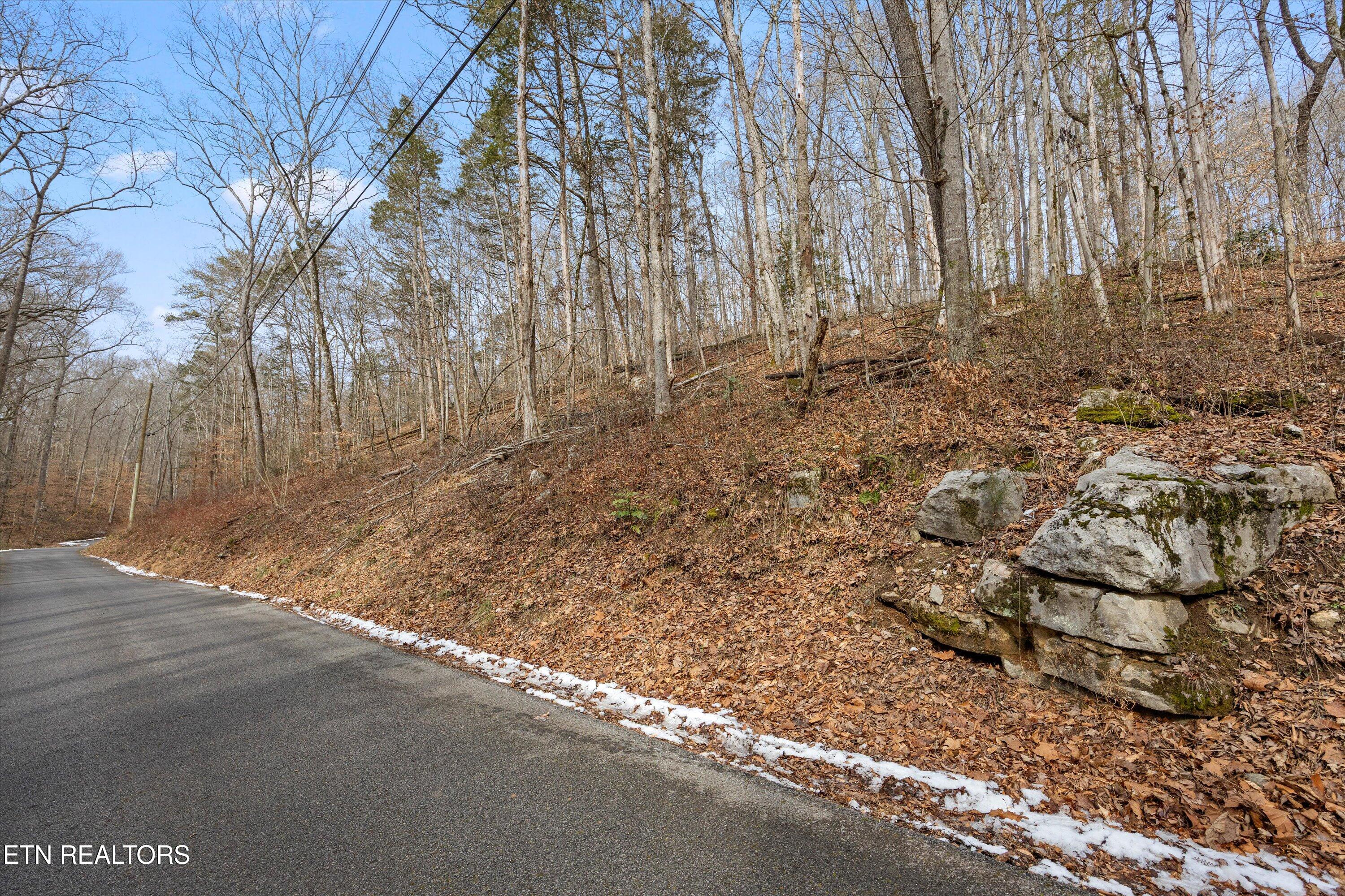 Fox Hollow Lane Andersonville TN 37705