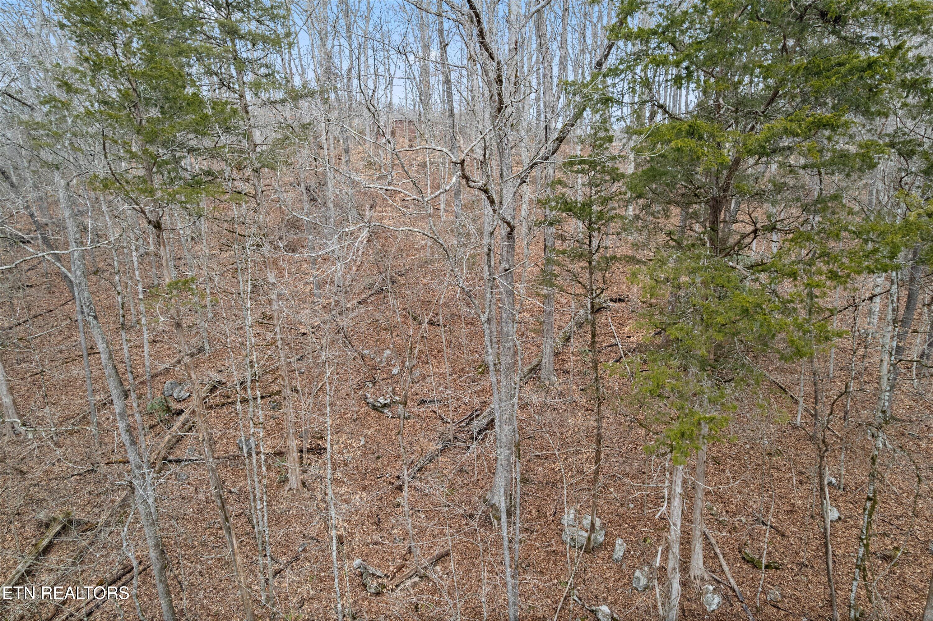 Fox Hollow Lane Andersonville TN 37705
