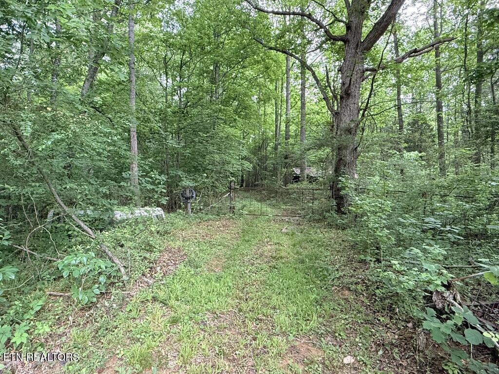 Old Chilhowee Tract 2 Road Seymour TN 37865