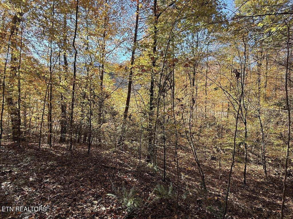 Old Chilhowee Tract 2 Road Seymour TN 37865