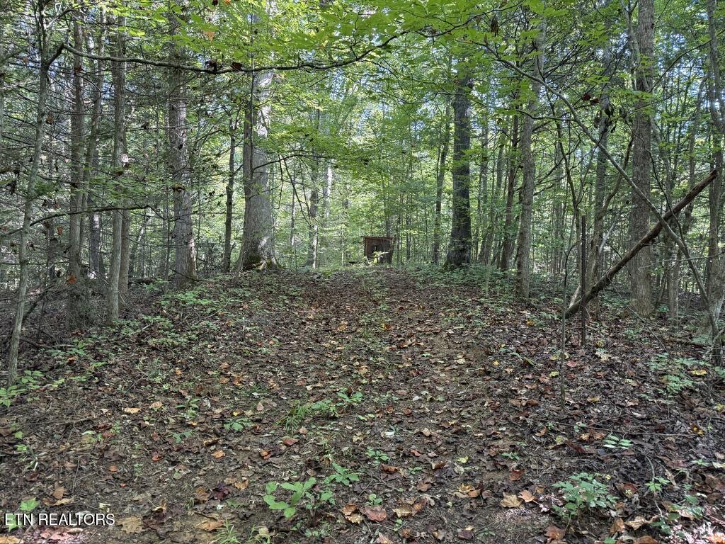 Old Chilhowee Tract 2 Road Seymour TN 37865
