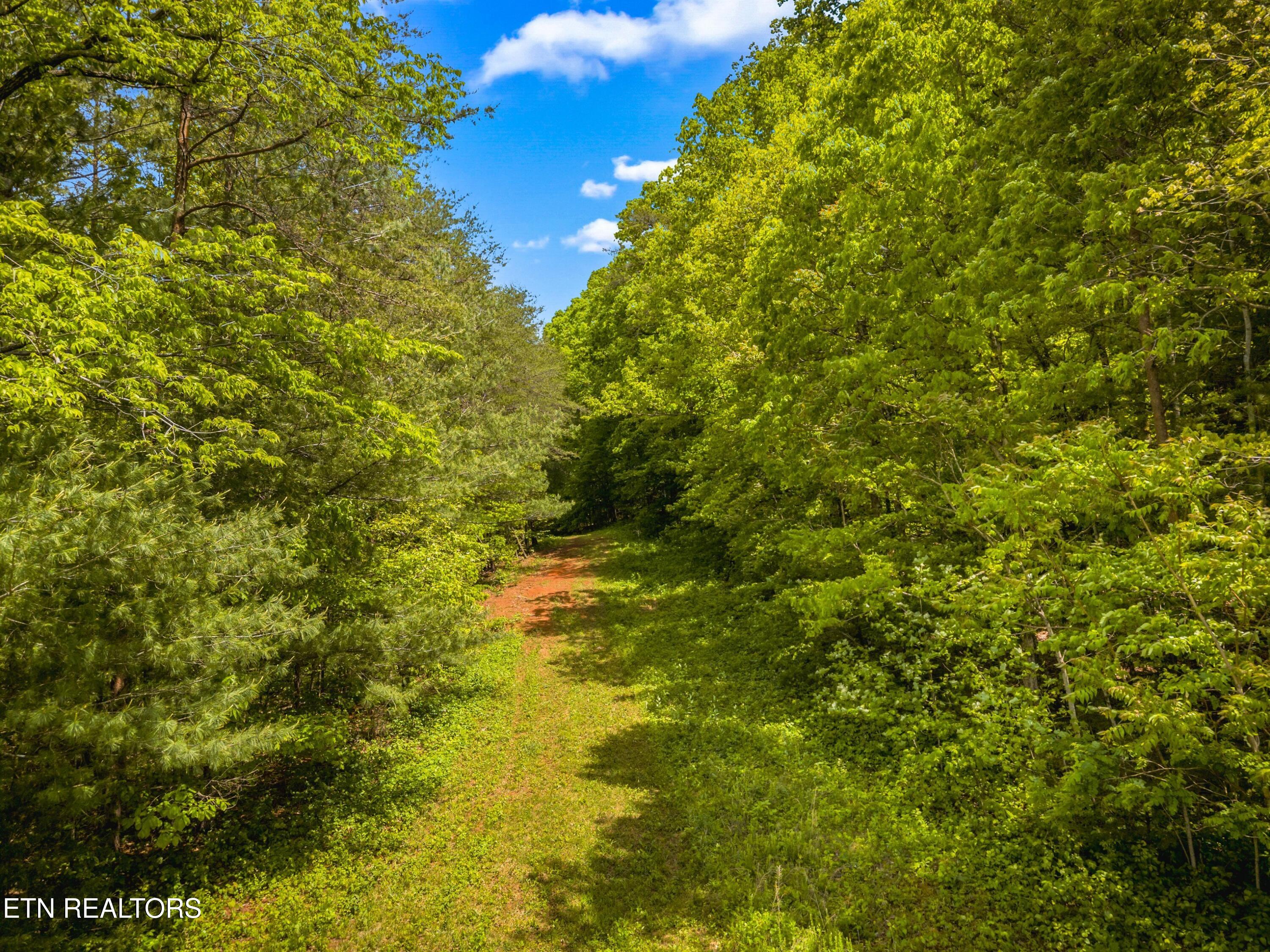 Lot 8-11 Hebron Church Road Jefferson City TN 37760
