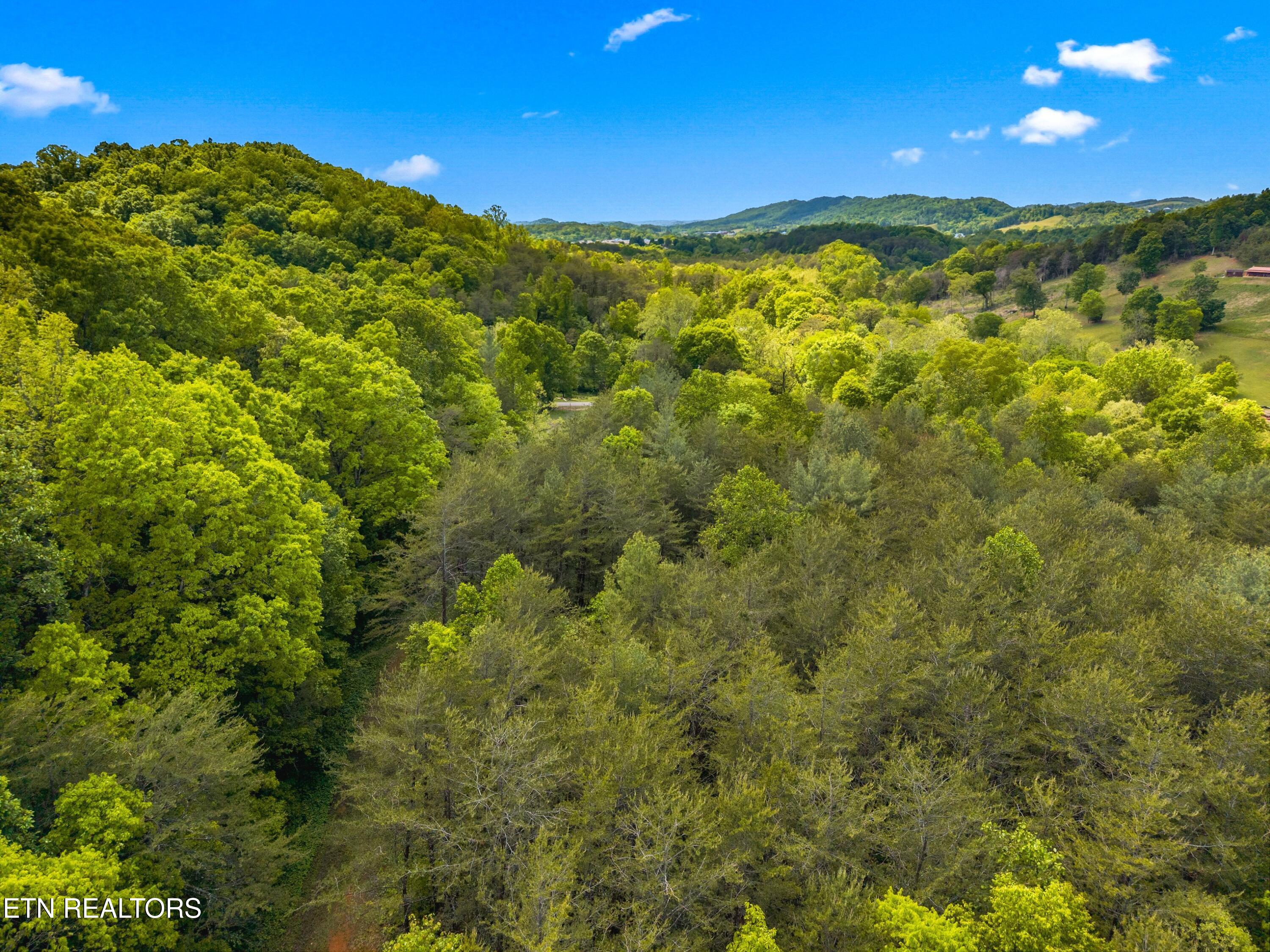 Lot 8-11 Hebron Church Road Jefferson City TN 37760
