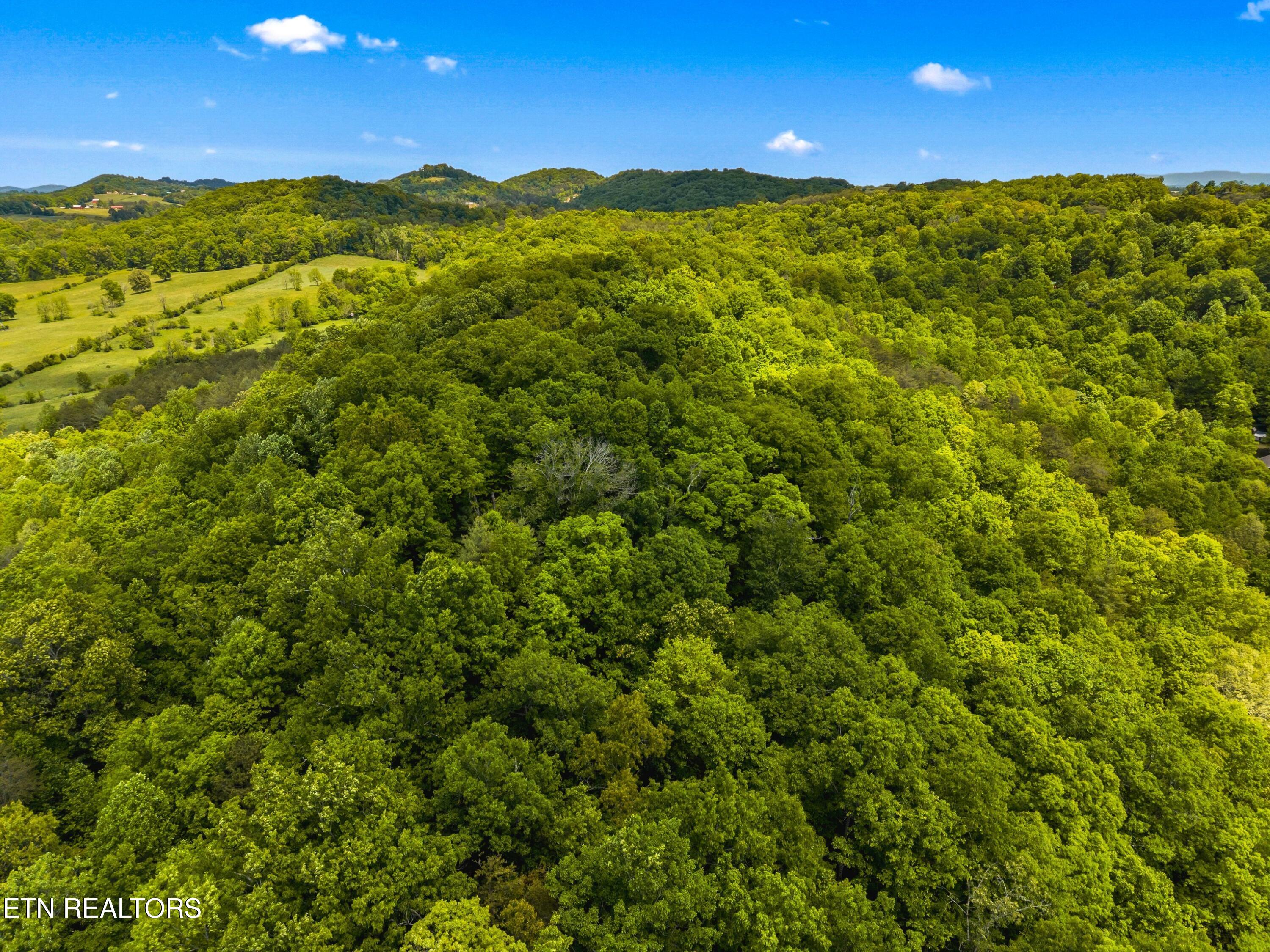 Lot 8-11 Hebron Church Road Jefferson City TN 37760