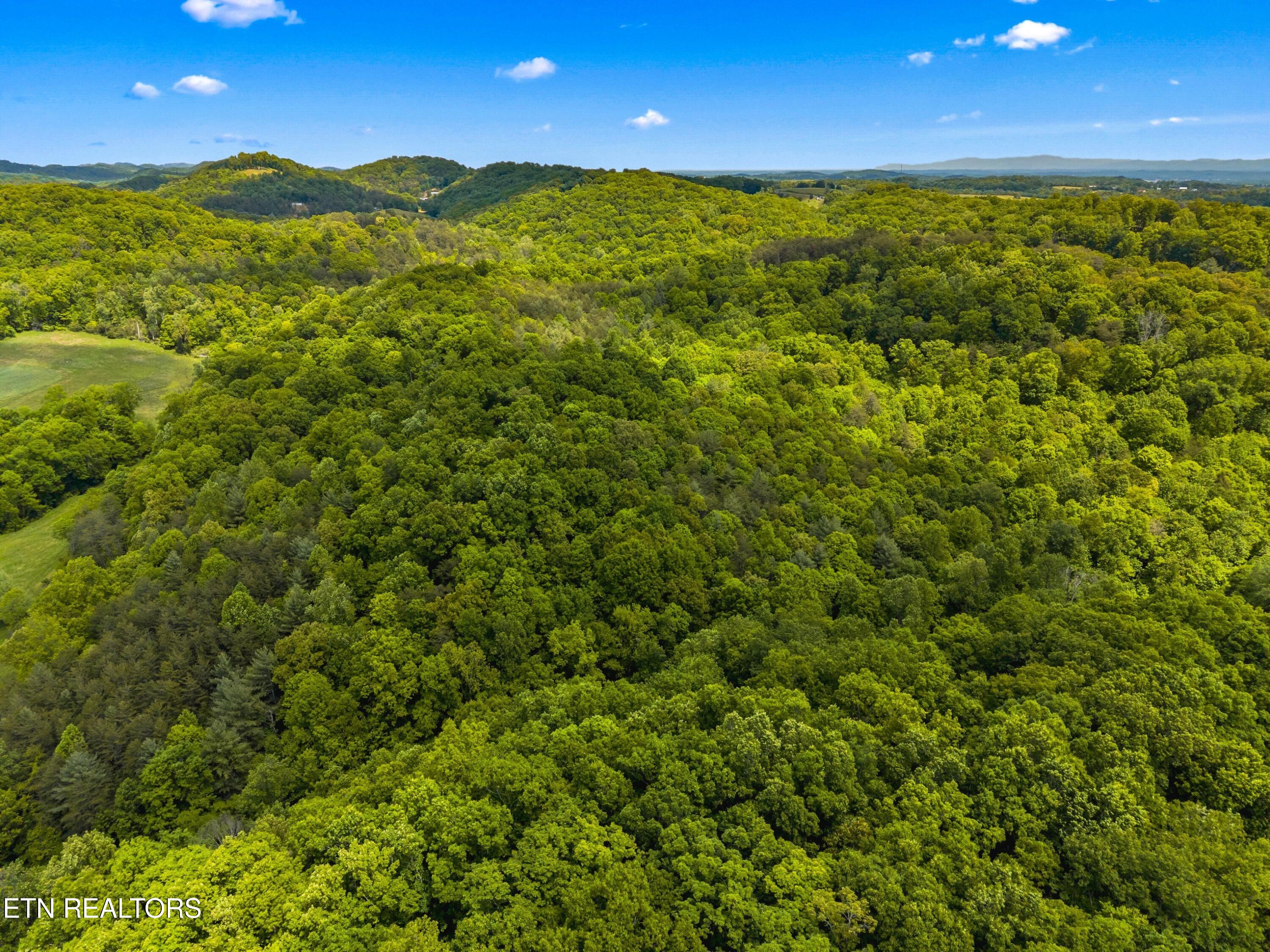 Lot 8-11 Hebron Church Road Jefferson City TN 37760