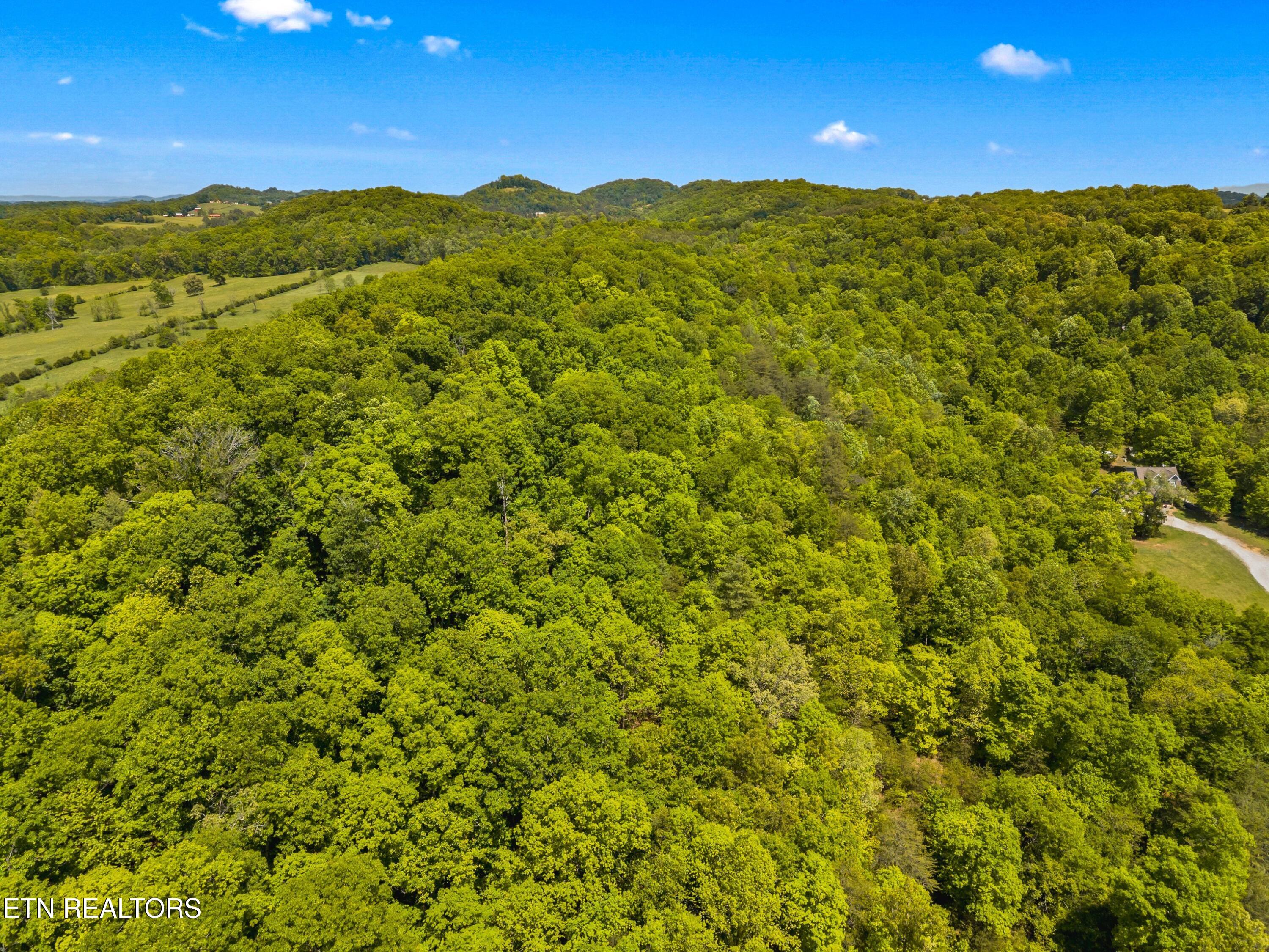 Lot 8-11 Hebron Church Road Jefferson City TN 37760
