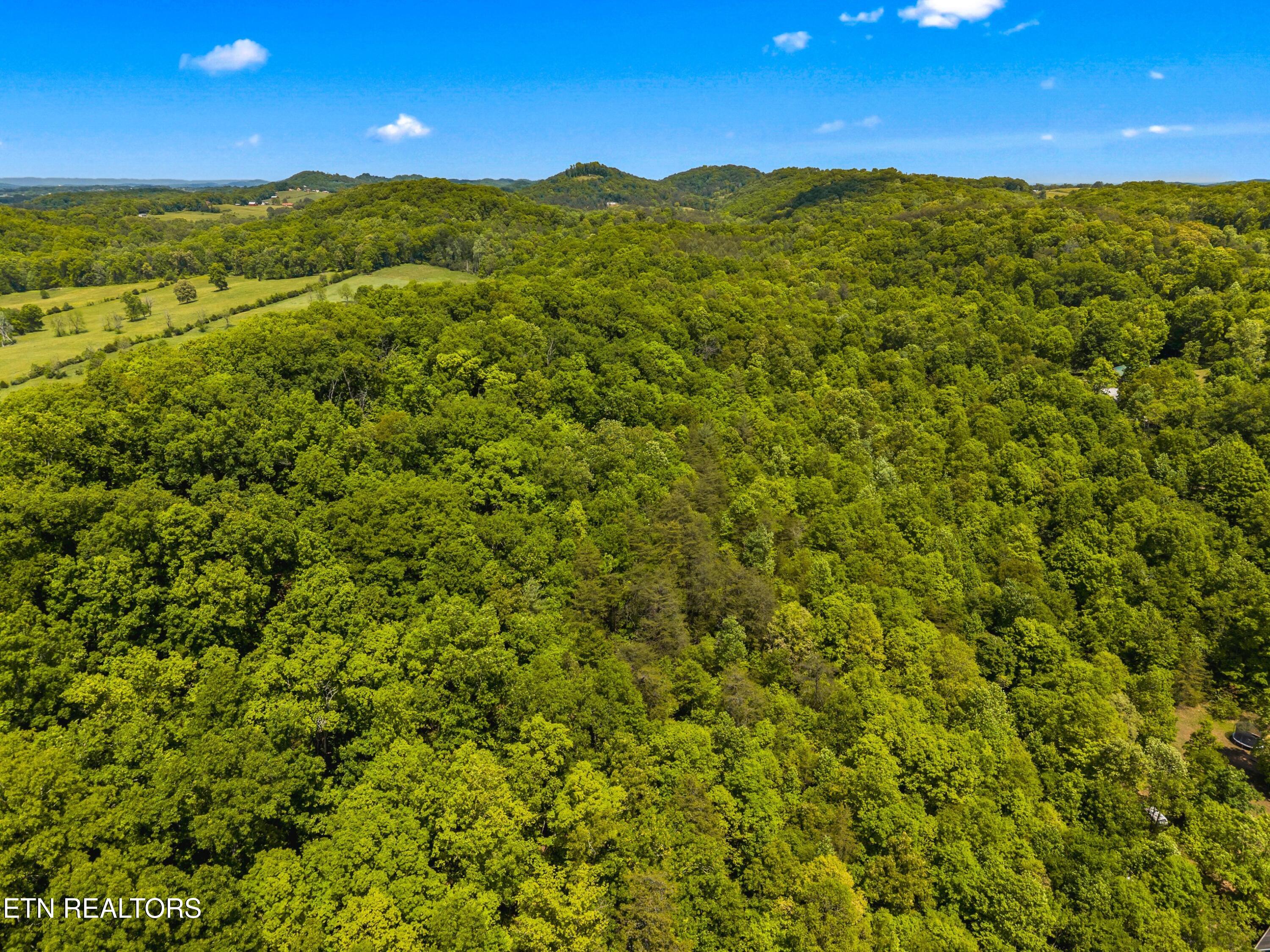 Lot 8-11 Hebron Church Road Jefferson City TN 37760