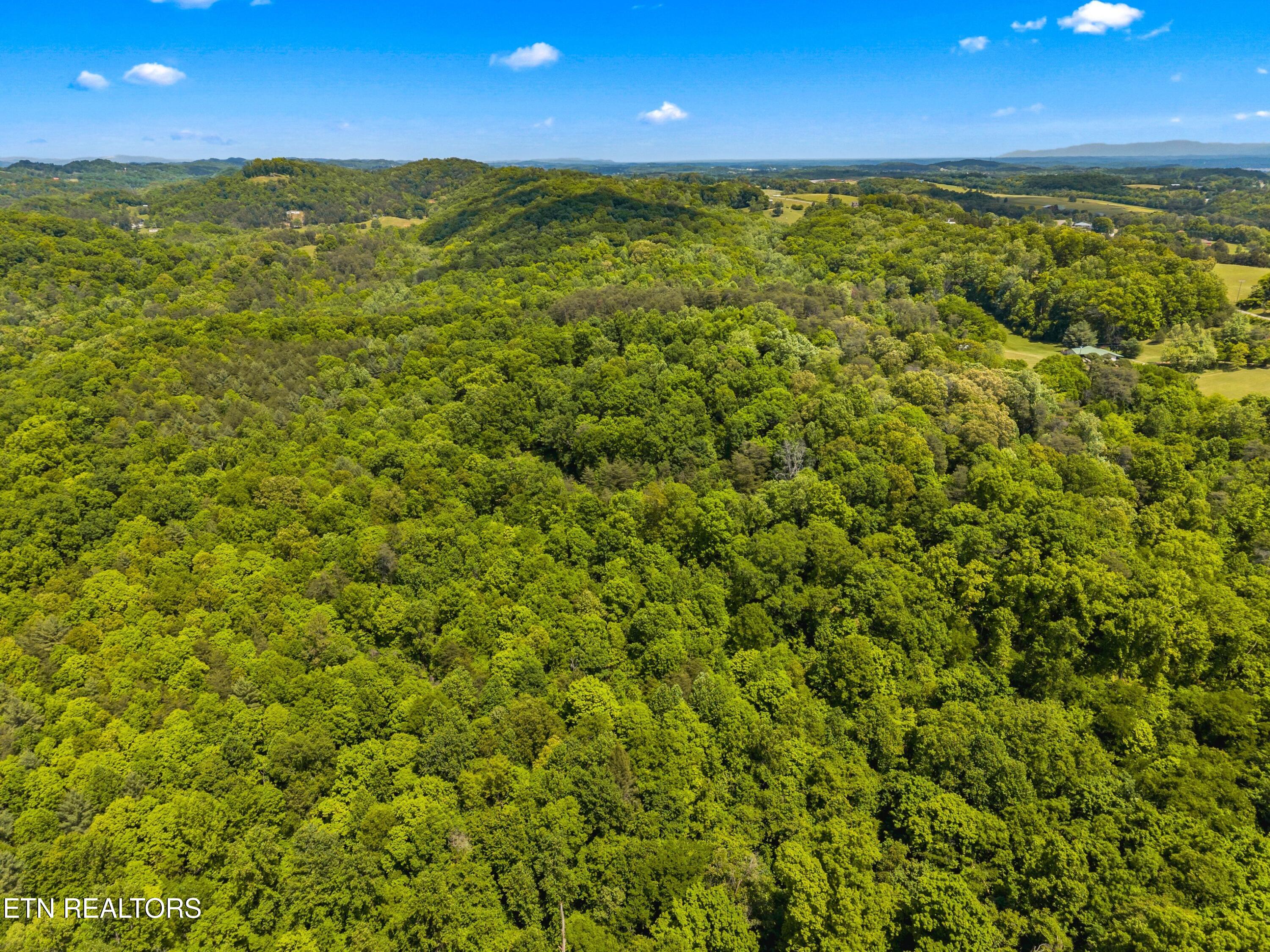 Lot 8-11 Hebron Church Road Jefferson City TN 37760