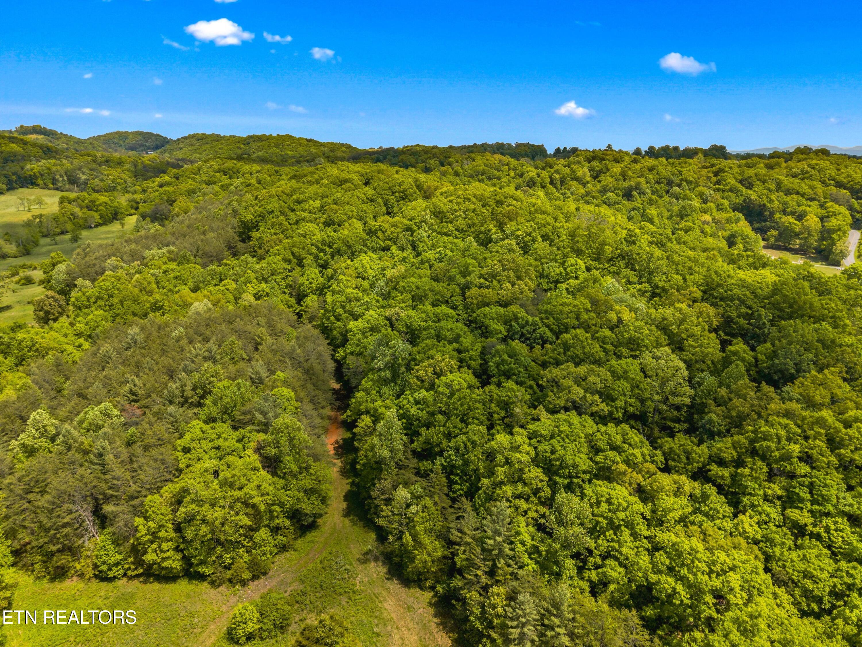 Lot 8-11 Hebron Church Road Jefferson City TN 37760