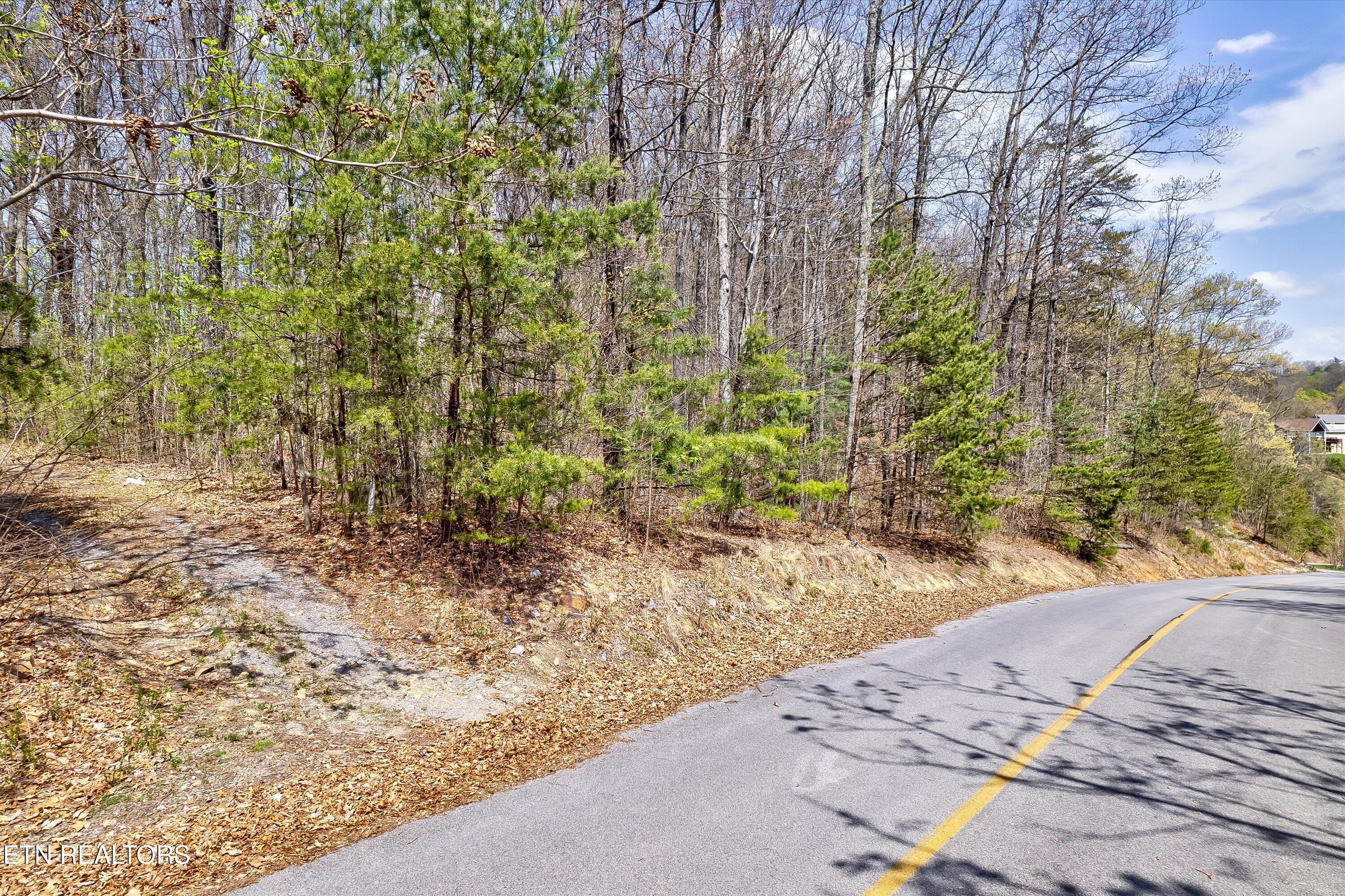Lot 125e Settlers View Lane Sevierville TN 37862