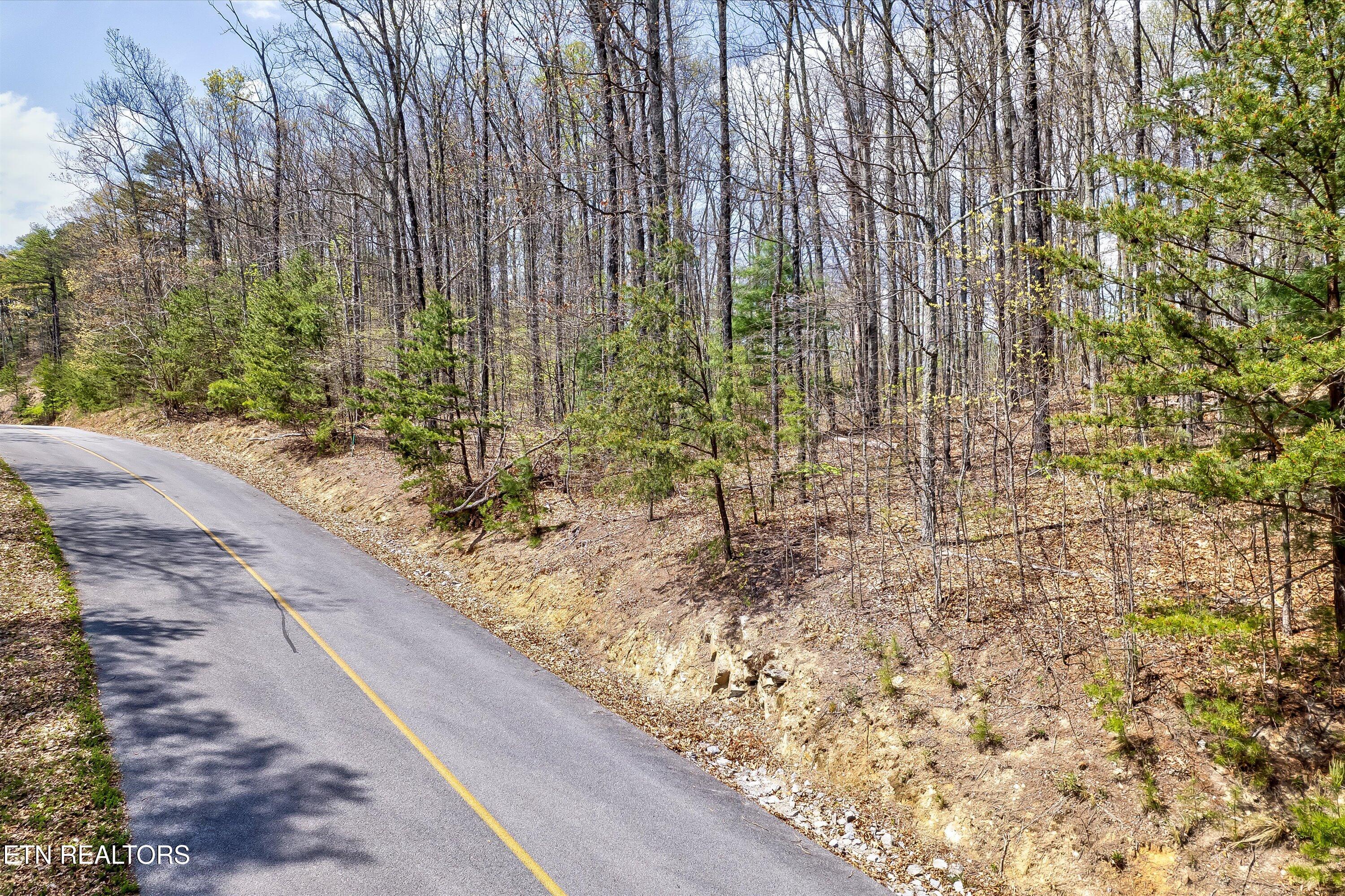 Lot 125e Settlers View Lane Sevierville TN 37862