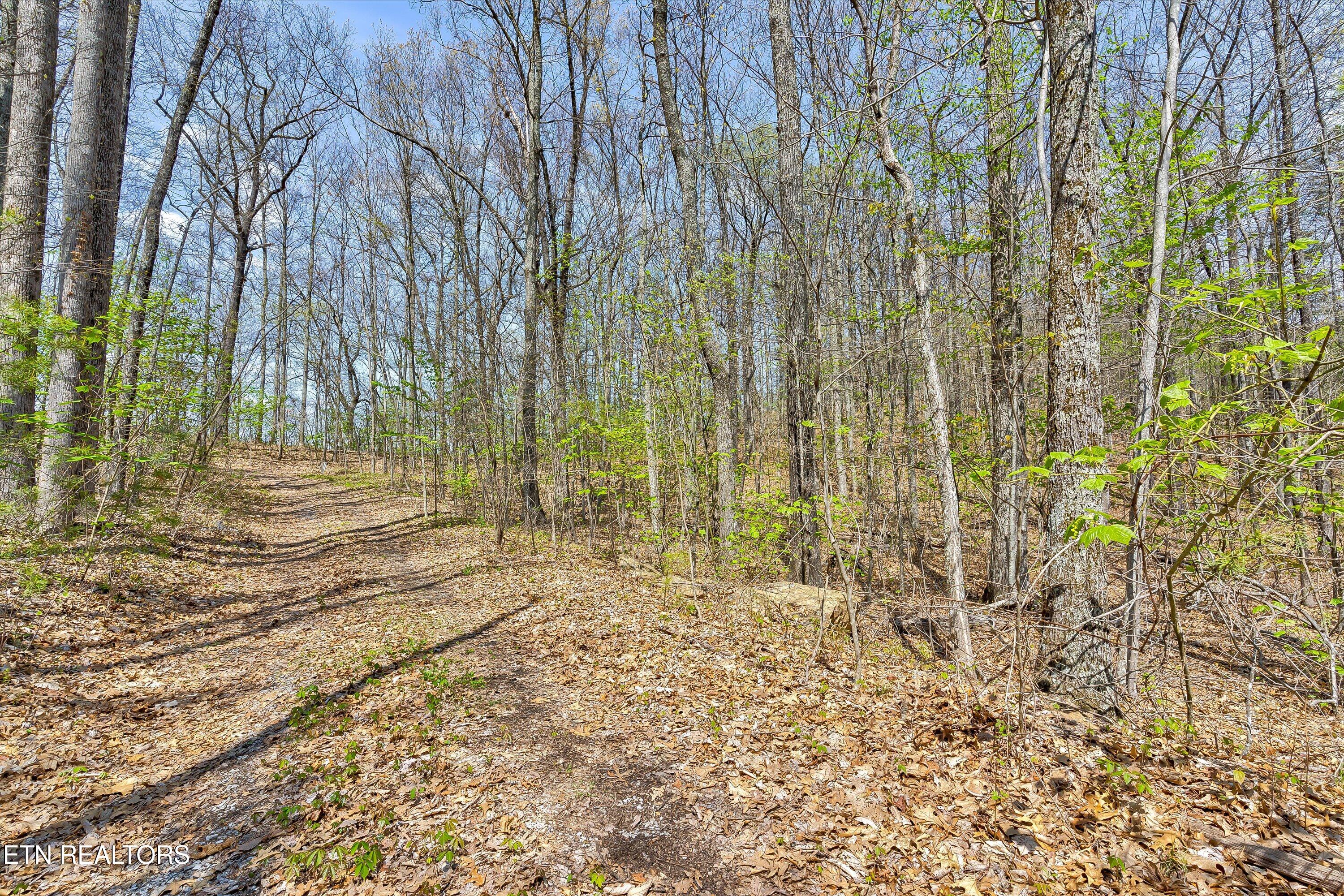 Lot 125e Settlers View Lane Sevierville TN 37862