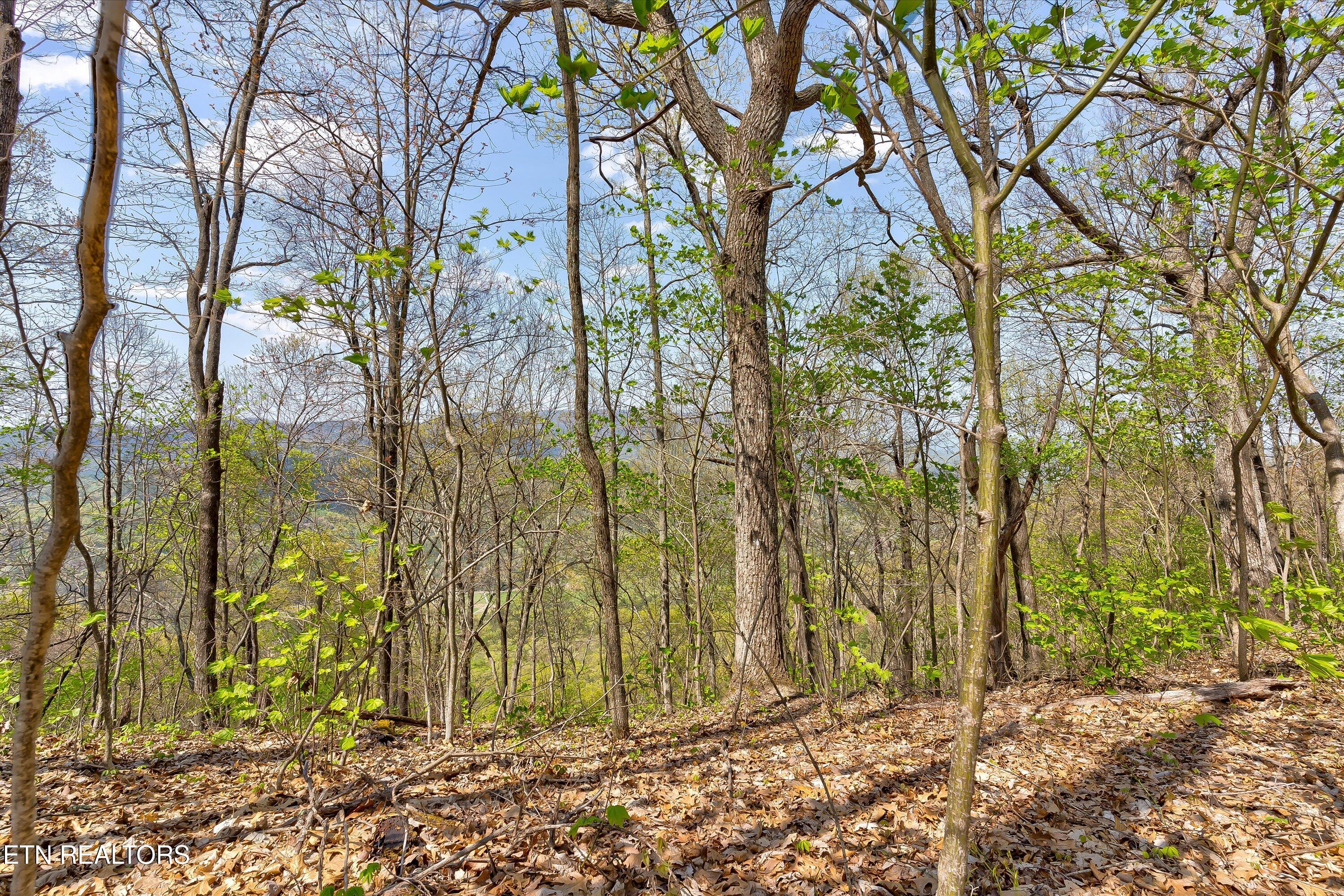 Lot 125e Settlers View Lane Sevierville TN 37862