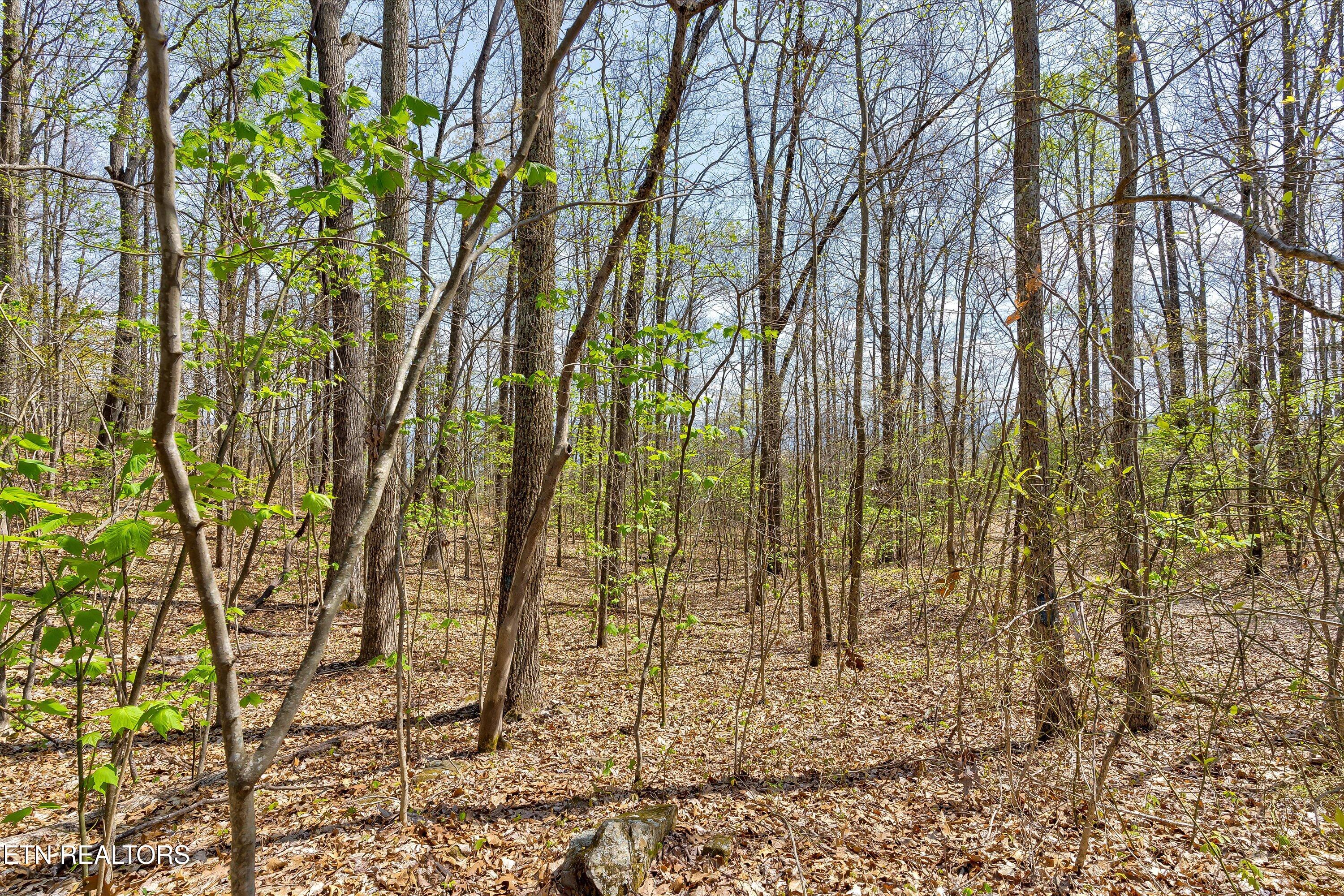 Lot 125e Settlers View Lane Sevierville TN 37862
