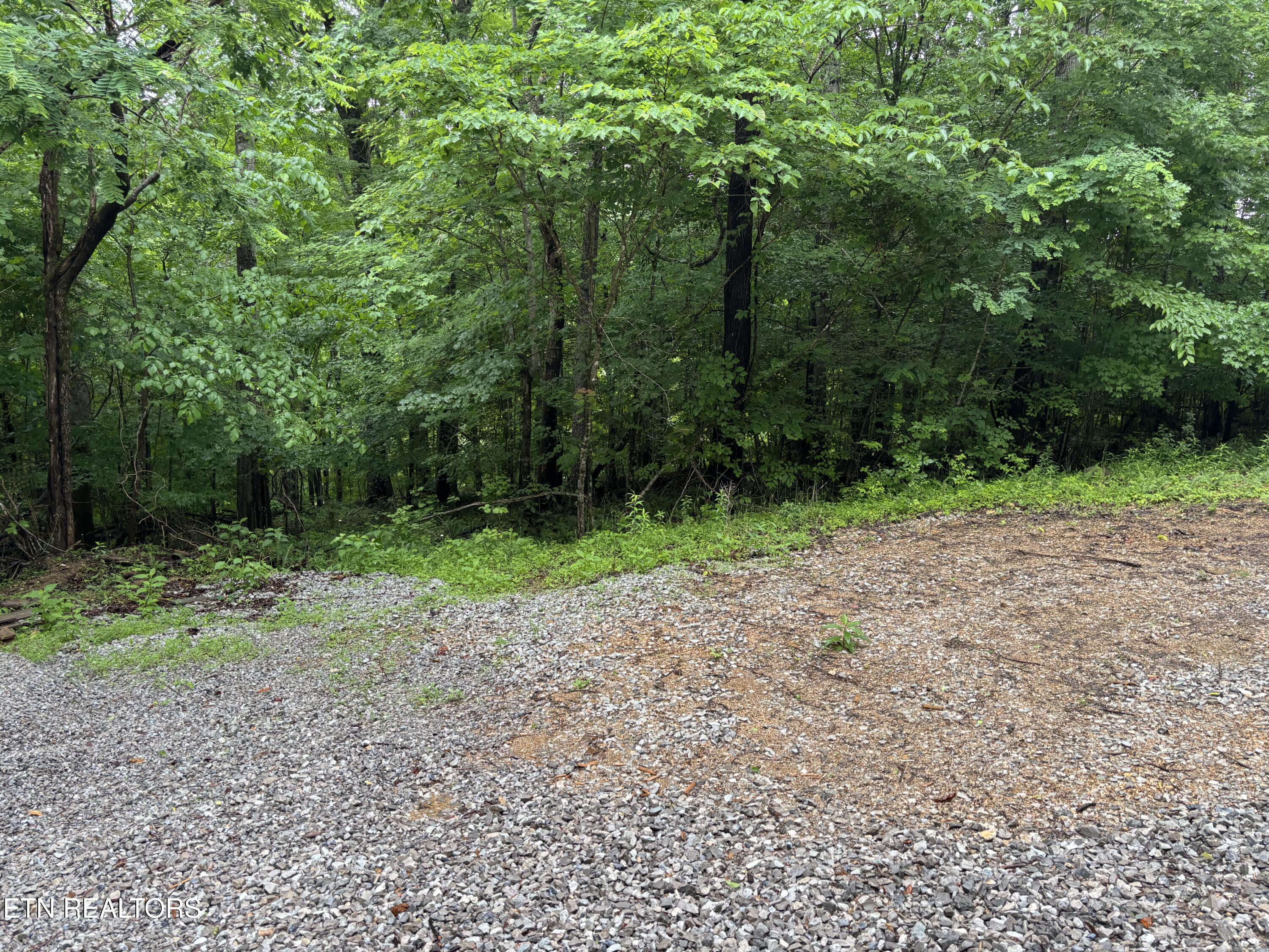 Lakemont Lane Caryville TN 37714