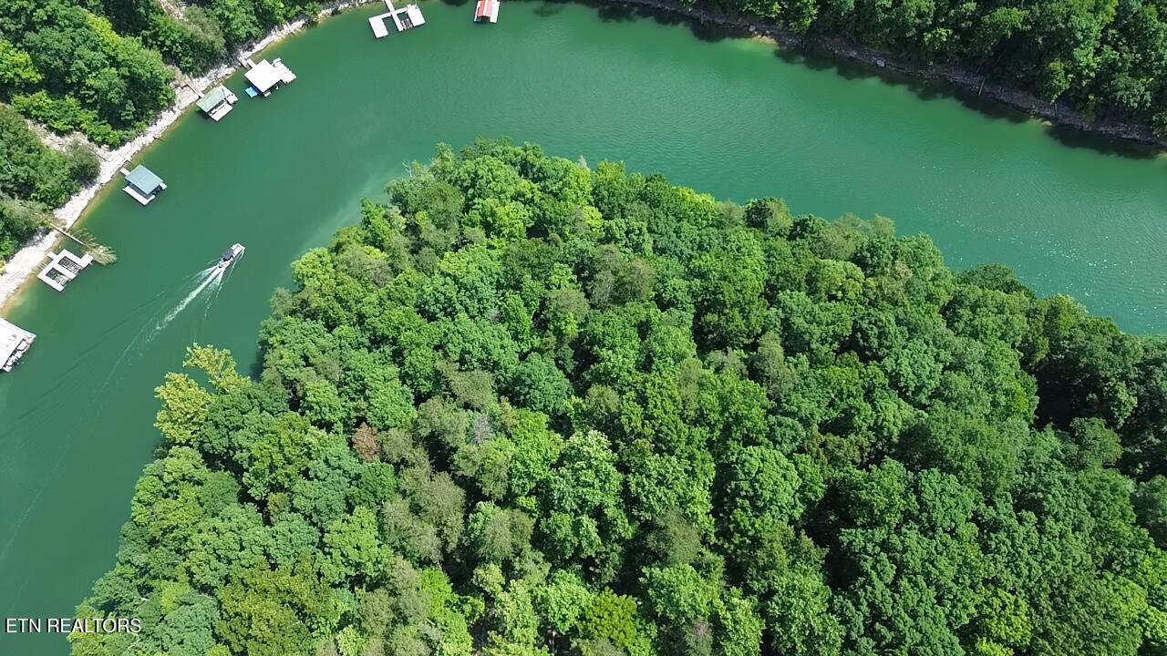 Lakemont Lane Caryville TN 37714