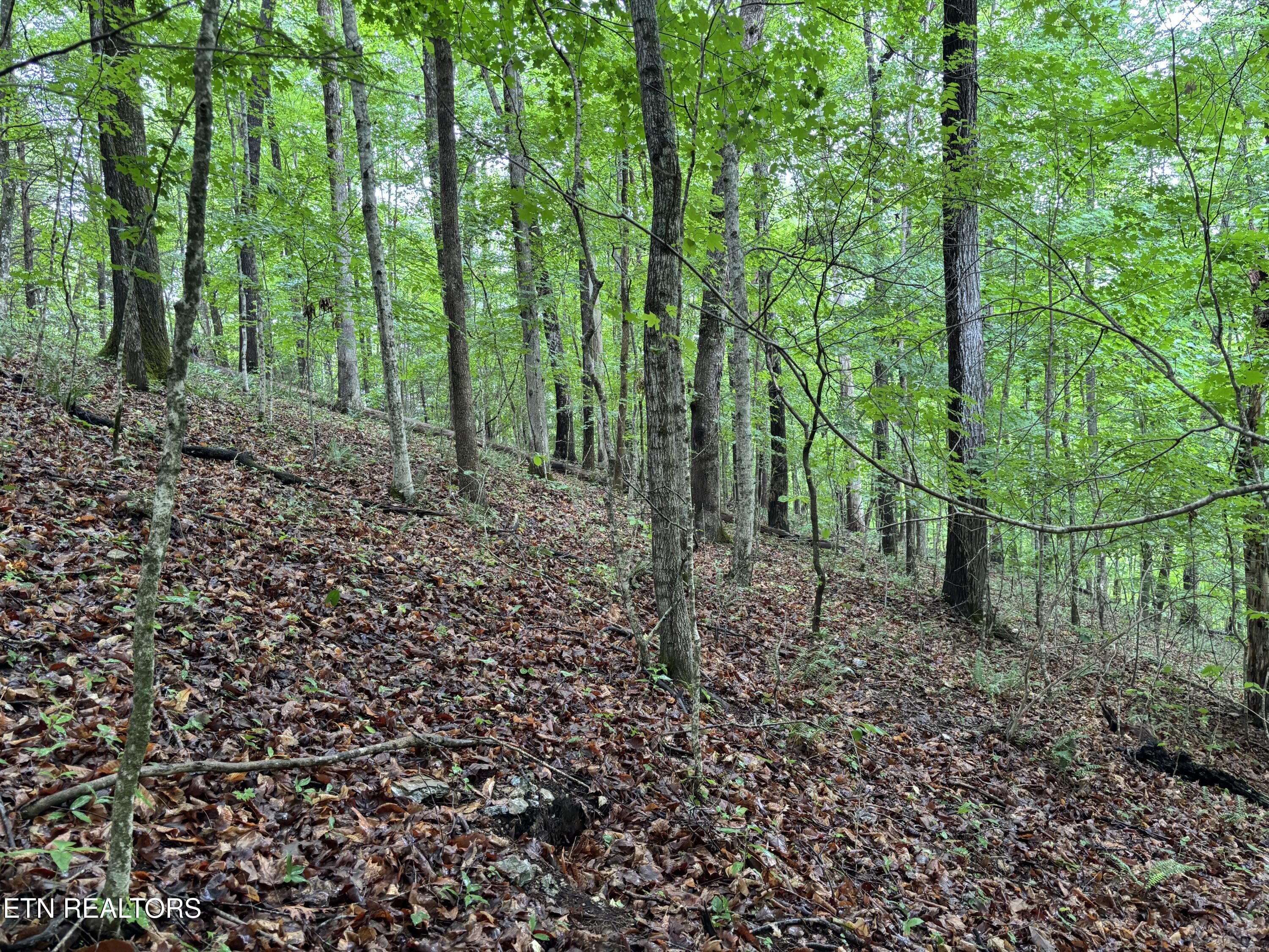 Lakemont Lane Caryville TN 37714