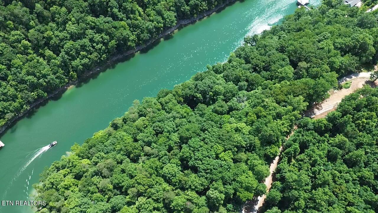 Lakemont Lane Caryville TN 37714