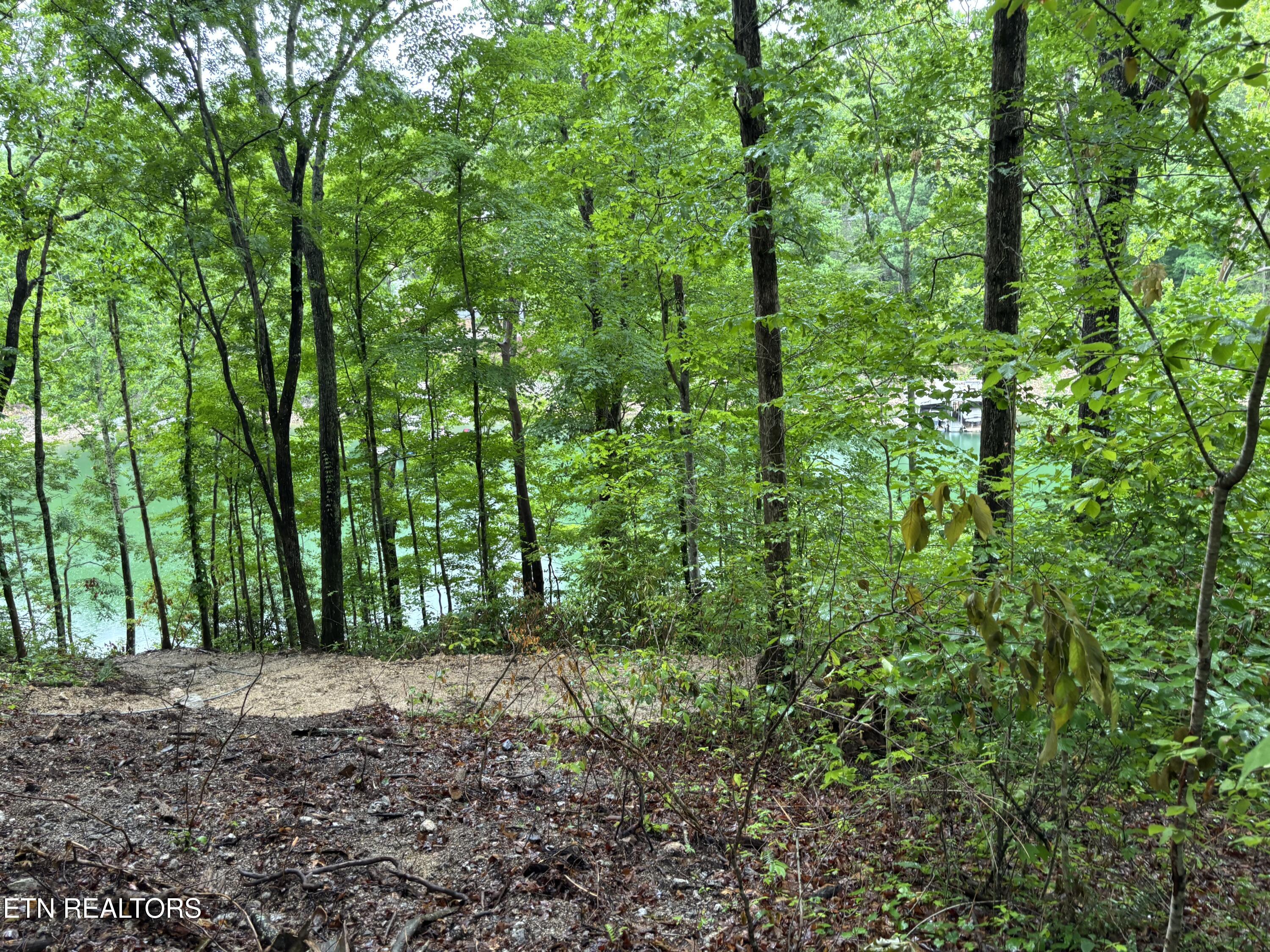 Lakemont Lane Caryville TN 37714