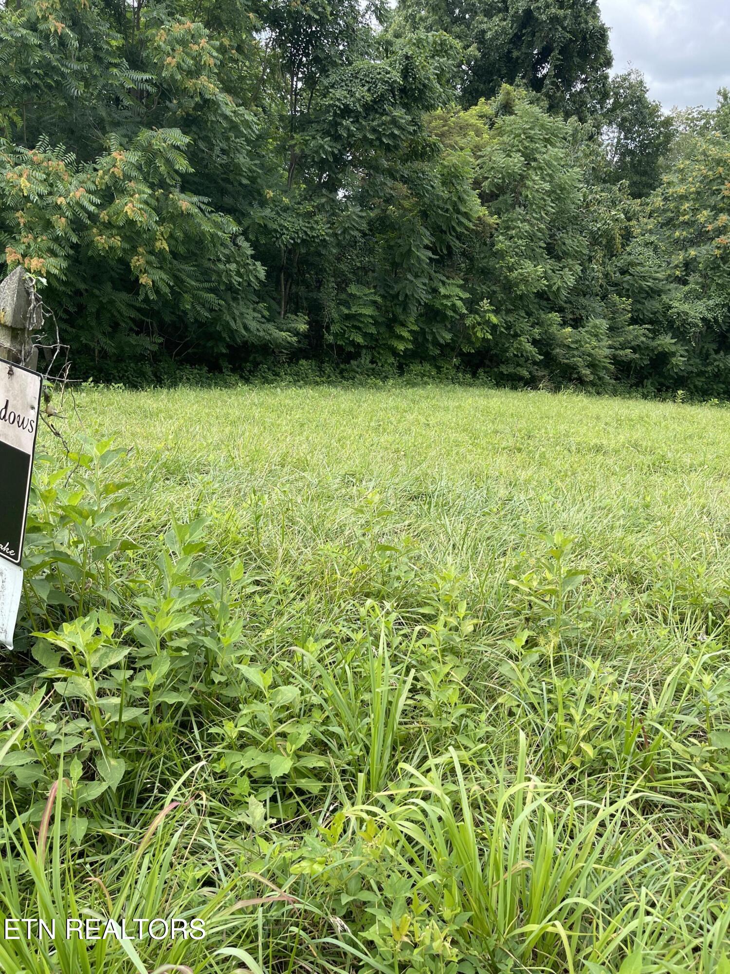 Overton Road, Lot 2 Maynardville TN 37807