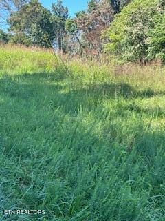Overton Road, Lot 2 Maynardville TN 37807