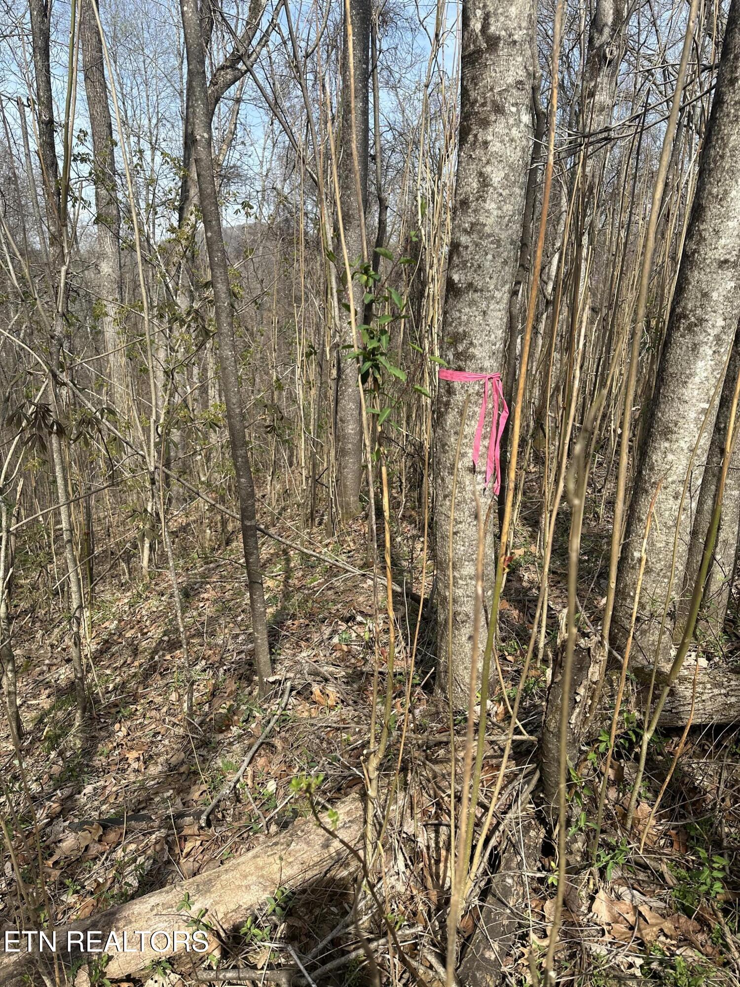Overton Road, Lot 2 Maynardville TN 37807