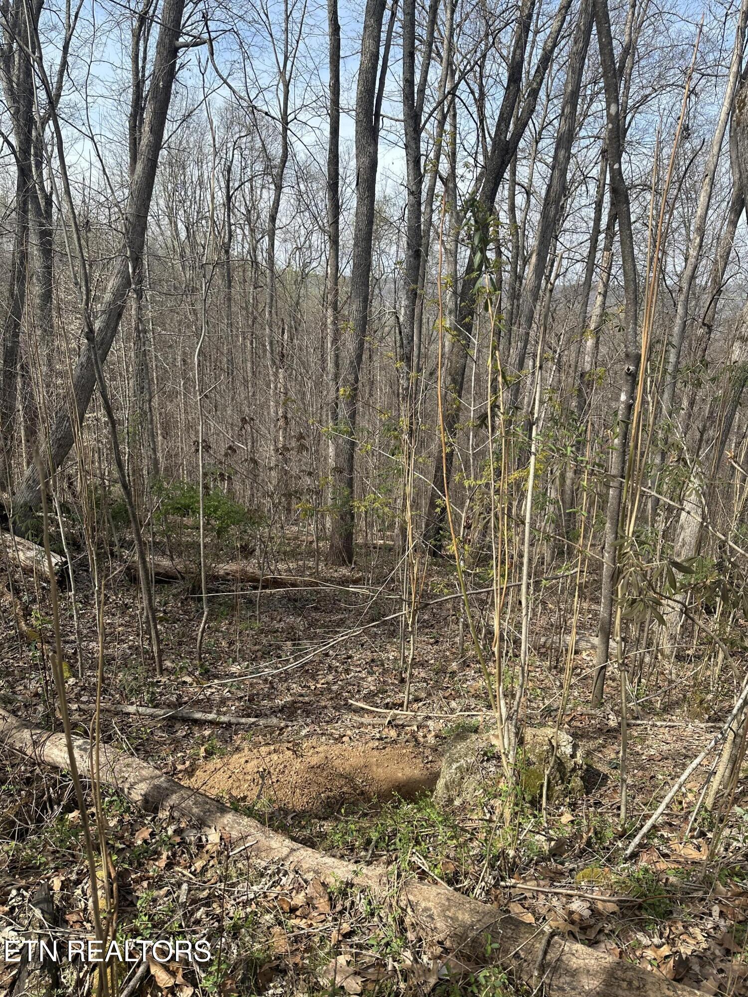 Overton Road, Lot 2 Maynardville TN 37807