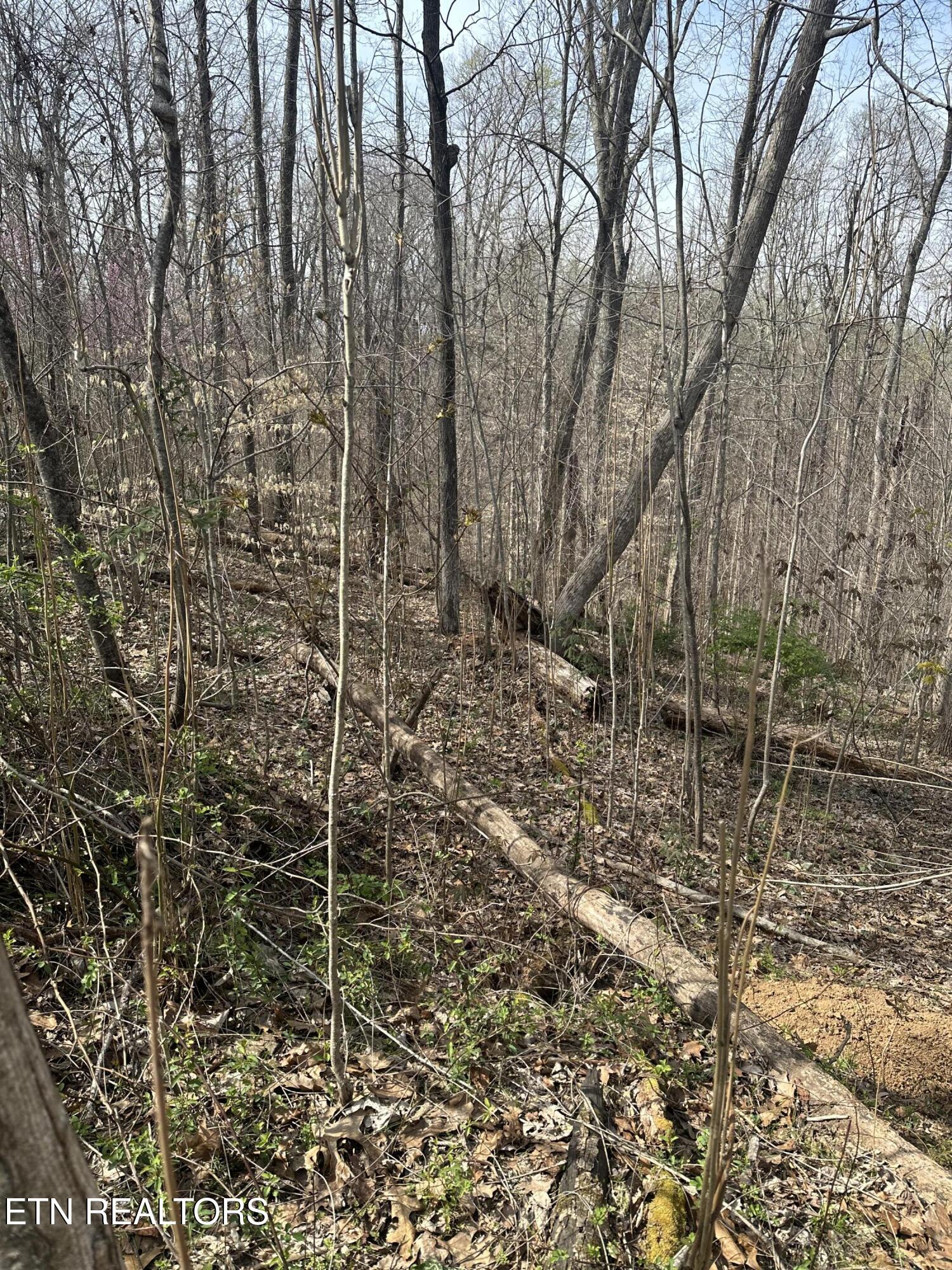Overton Road, Lot 2 Maynardville TN 37807
