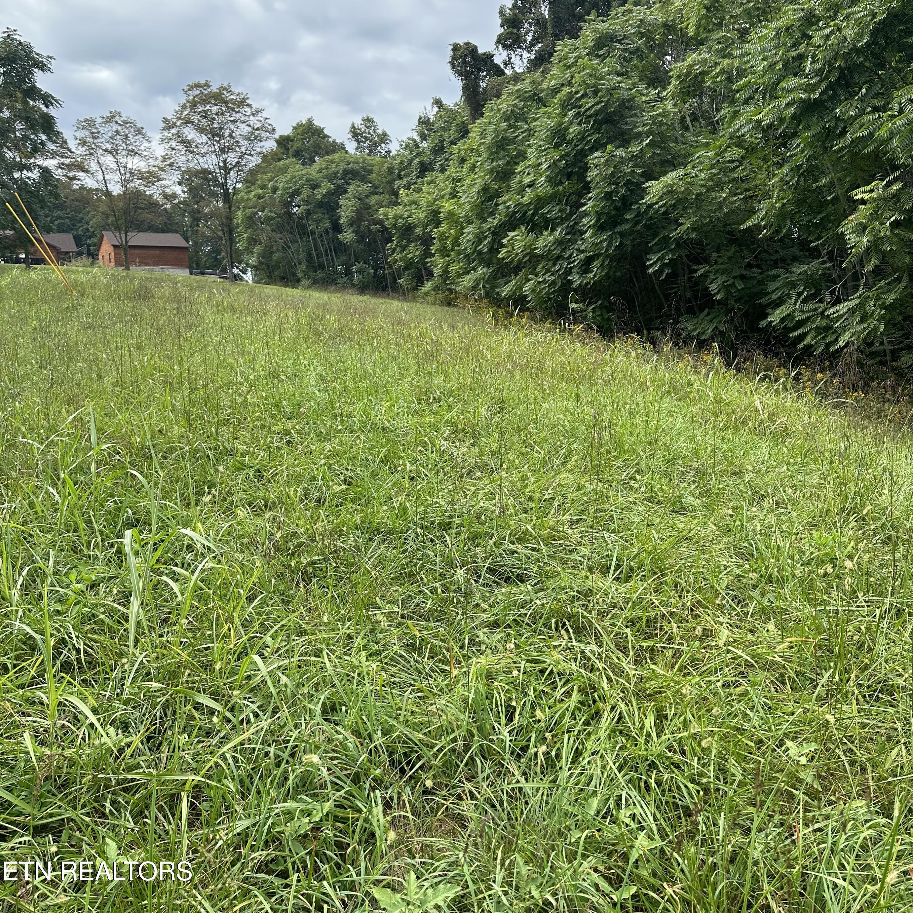 Overton Road, Lot 2 Maynardville TN 37807