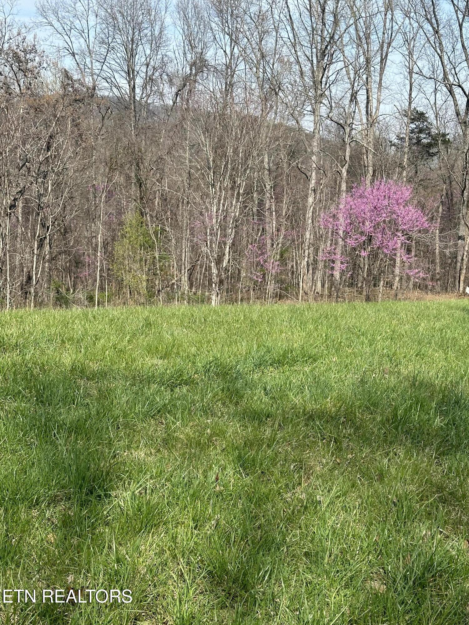 Overton Road, Lot 2 Maynardville TN 37807