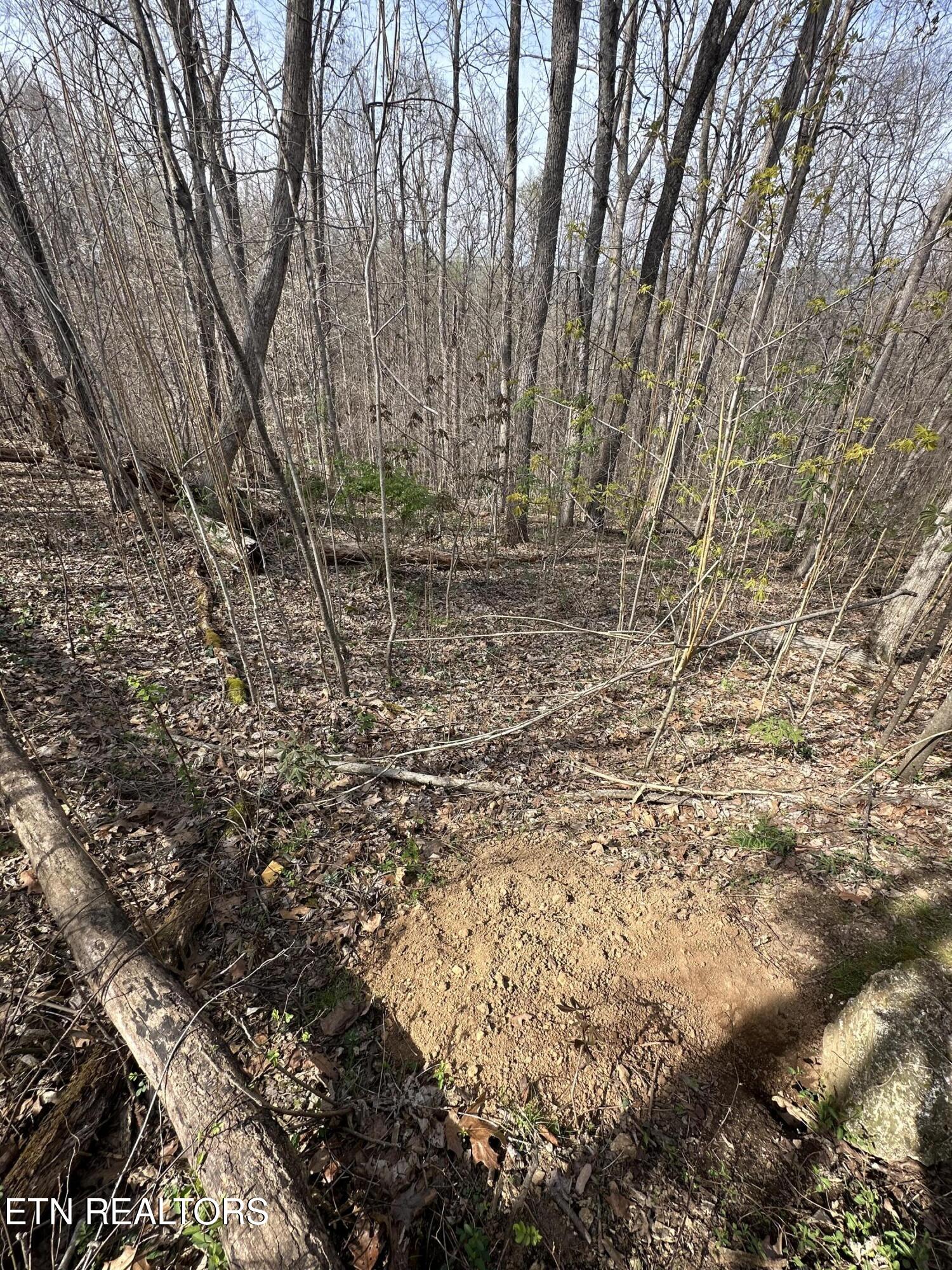 Overton Road, Lot 2 Maynardville TN 37807