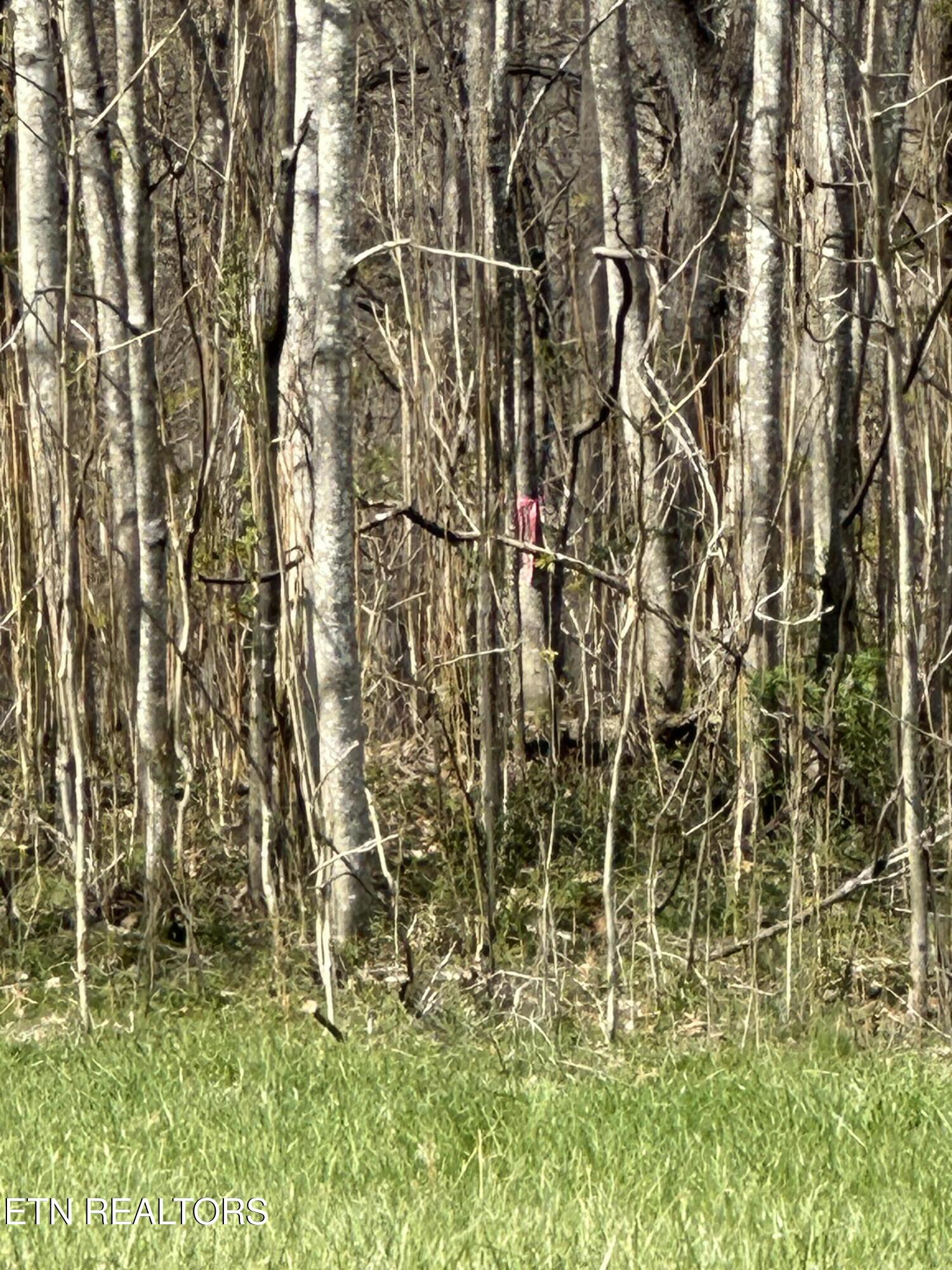 Overton Road, Lot 2 Maynardville TN 37807