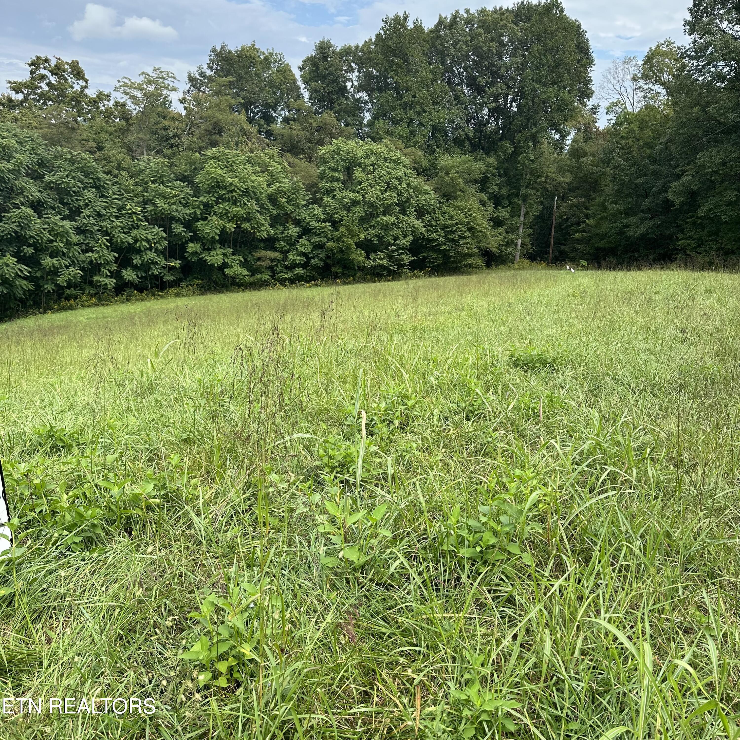 Overton Road, Lot 2 Maynardville TN 37807