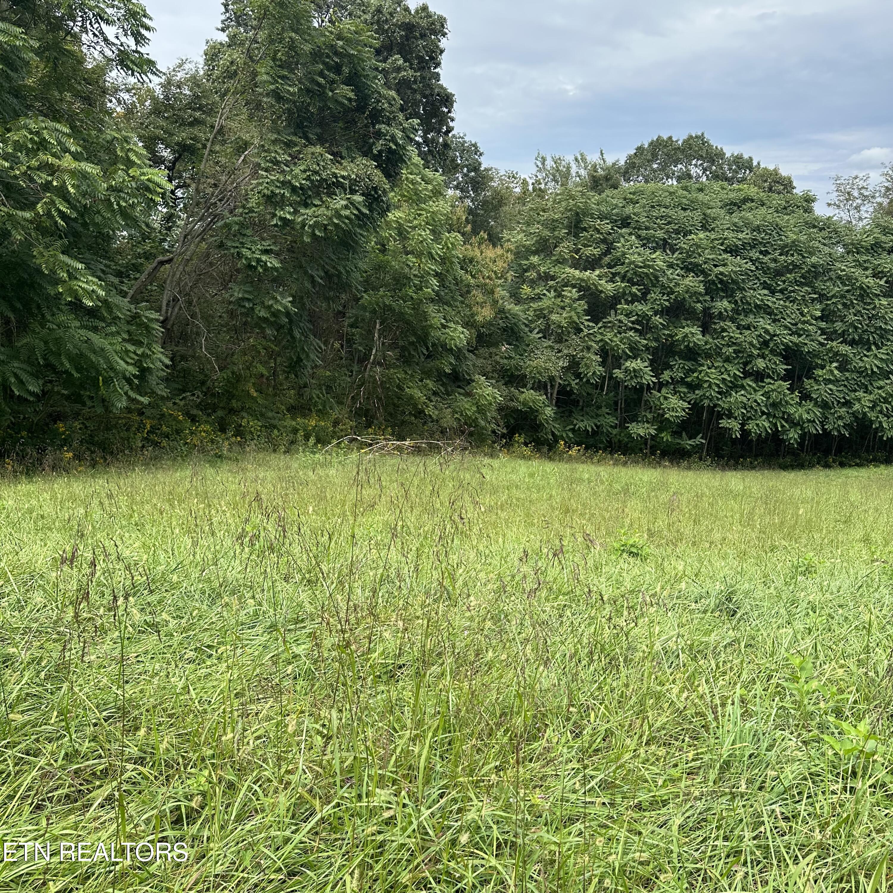 Overton Road, Lot 2 Maynardville TN 37807