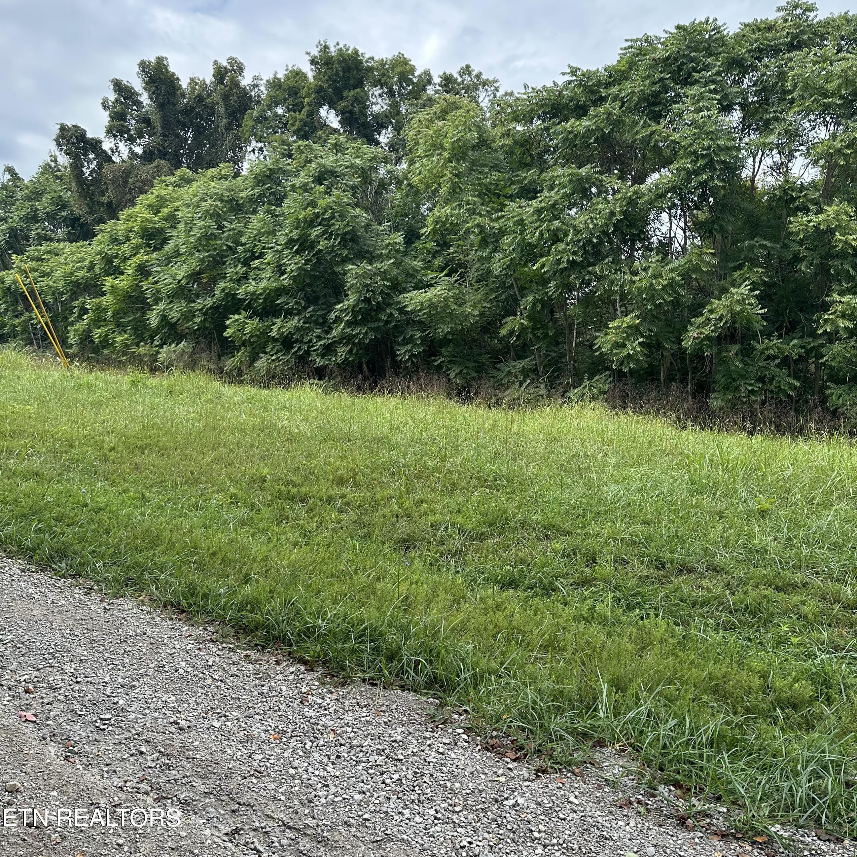 Overton Road, Lot 2 Maynardville TN 37807