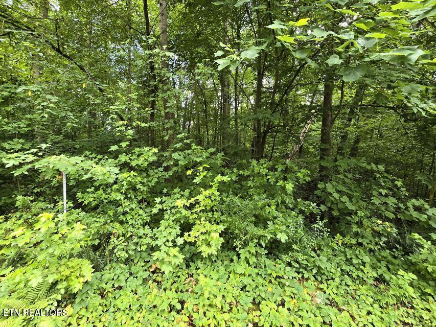 Lot 133 Lower Brow Road Dunlap TN 37327