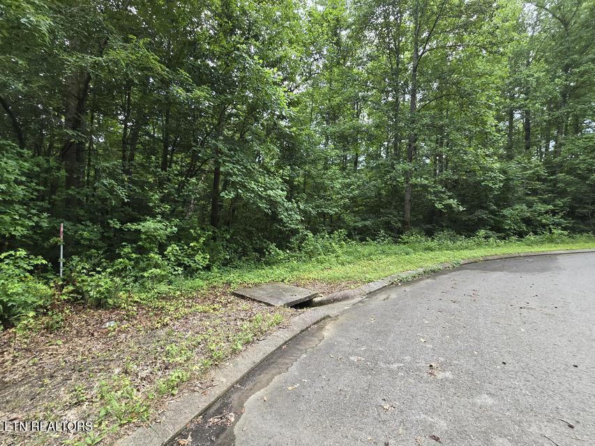 Lot 133 Lower Brow Road Dunlap TN 37327