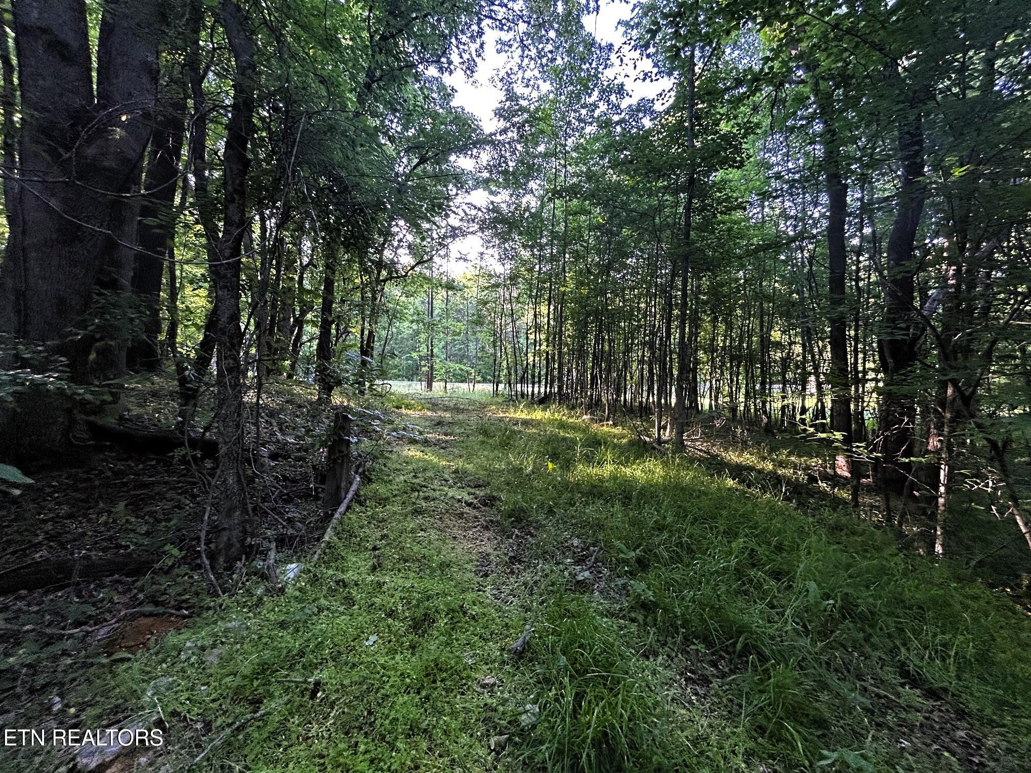 Tract 9 Pleasant Hill Road Ten Mile TN 37880