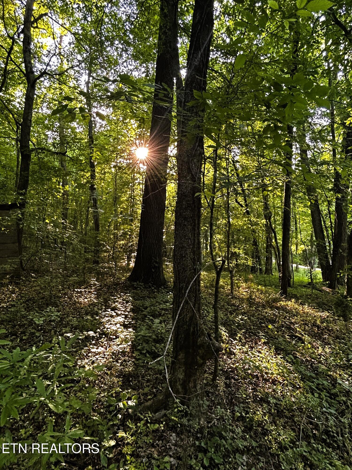 Tract 9 Pleasant Hill Road Ten Mile TN 37880