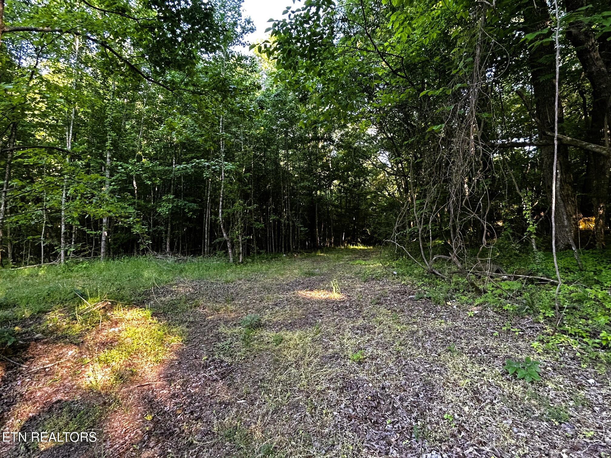 Tract 9 Pleasant Hill Road Ten Mile TN 37880