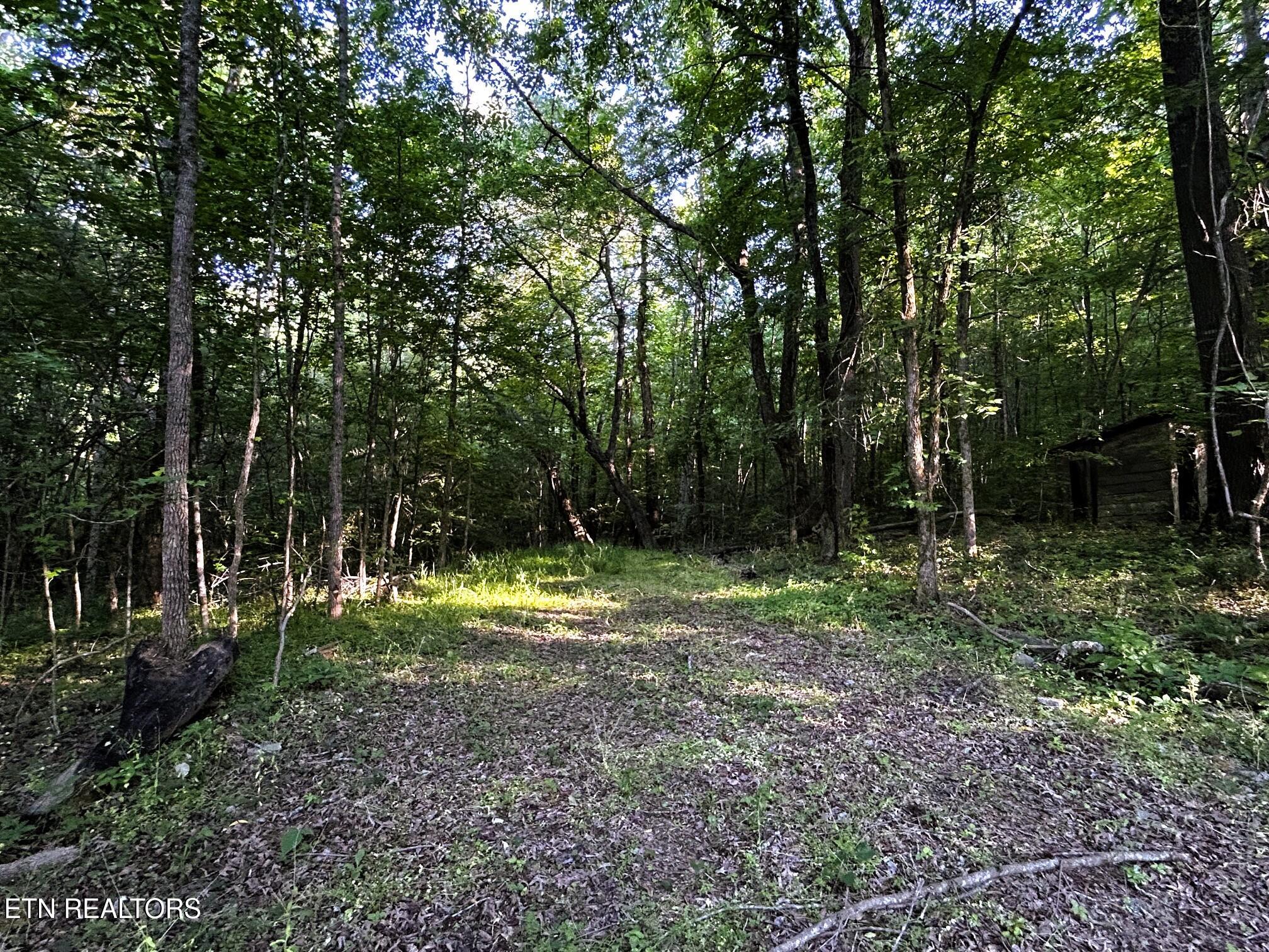 Tract 9 Pleasant Hill Road Ten Mile TN 37880