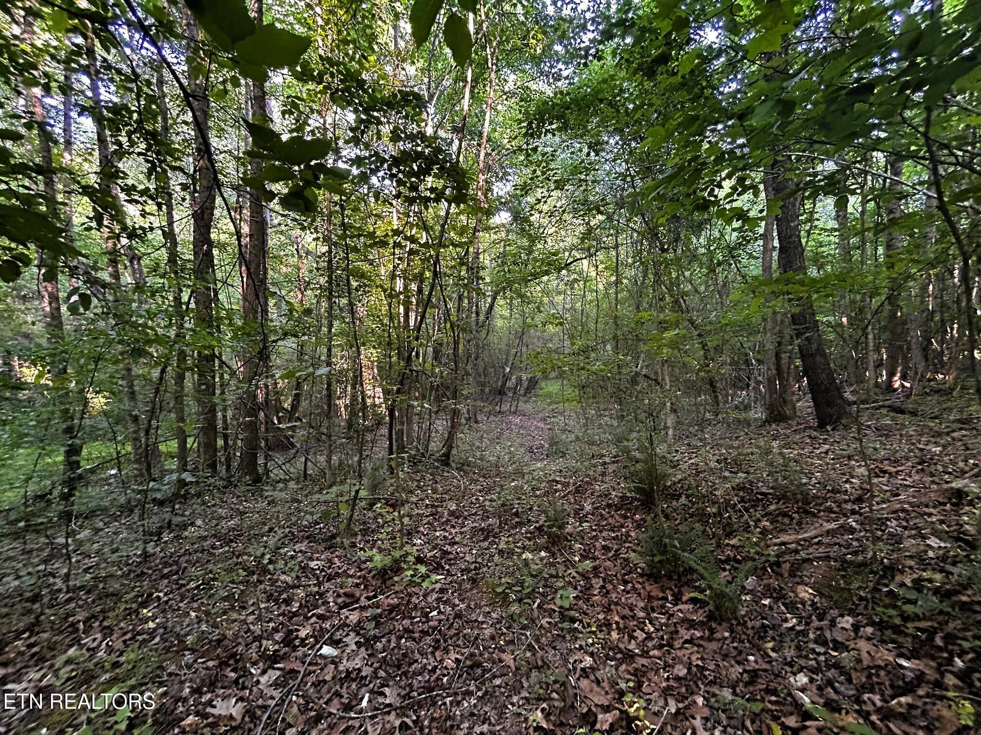 Tract 9 Pleasant Hill Road Ten Mile TN 37880