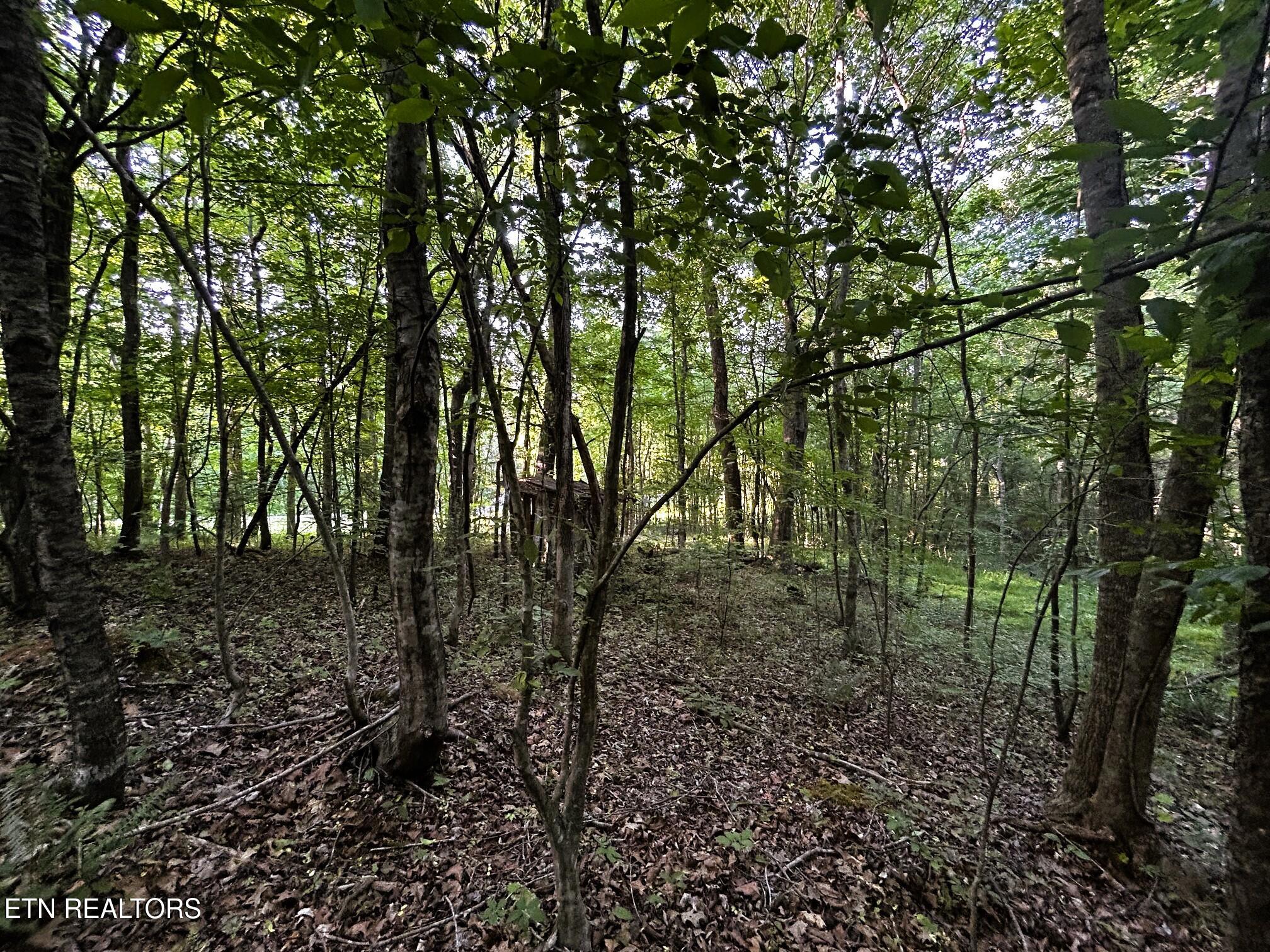 Tract 9 Pleasant Hill Road Ten Mile TN 37880