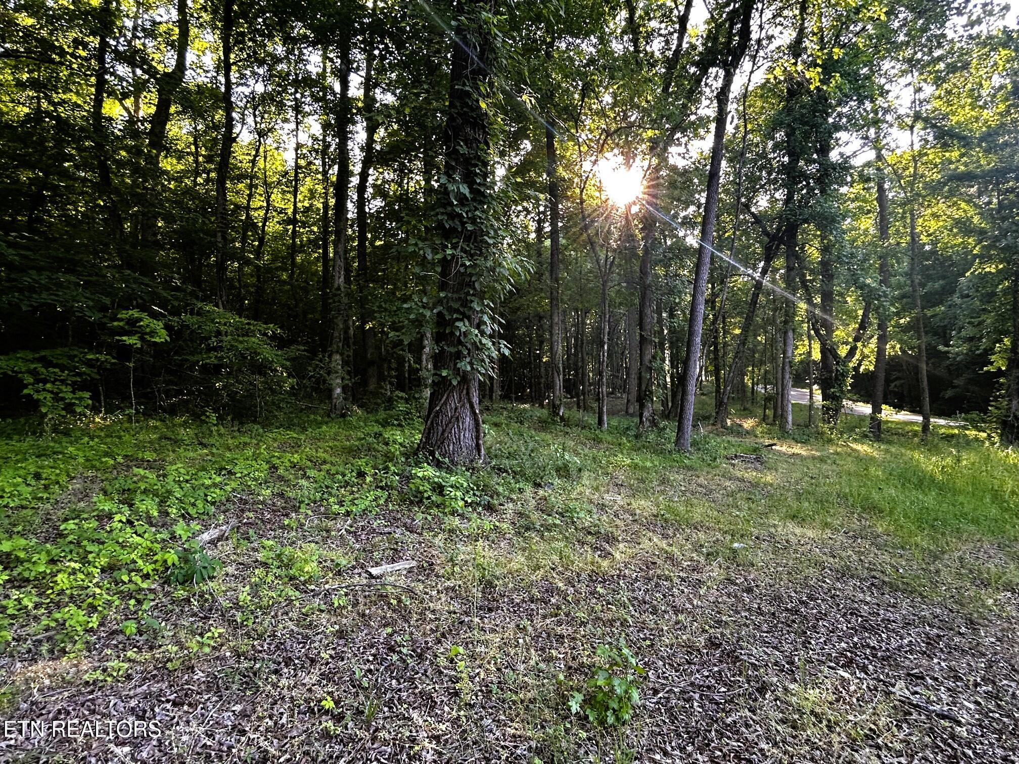 Tract 9 Pleasant Hill Road Ten Mile TN 37880