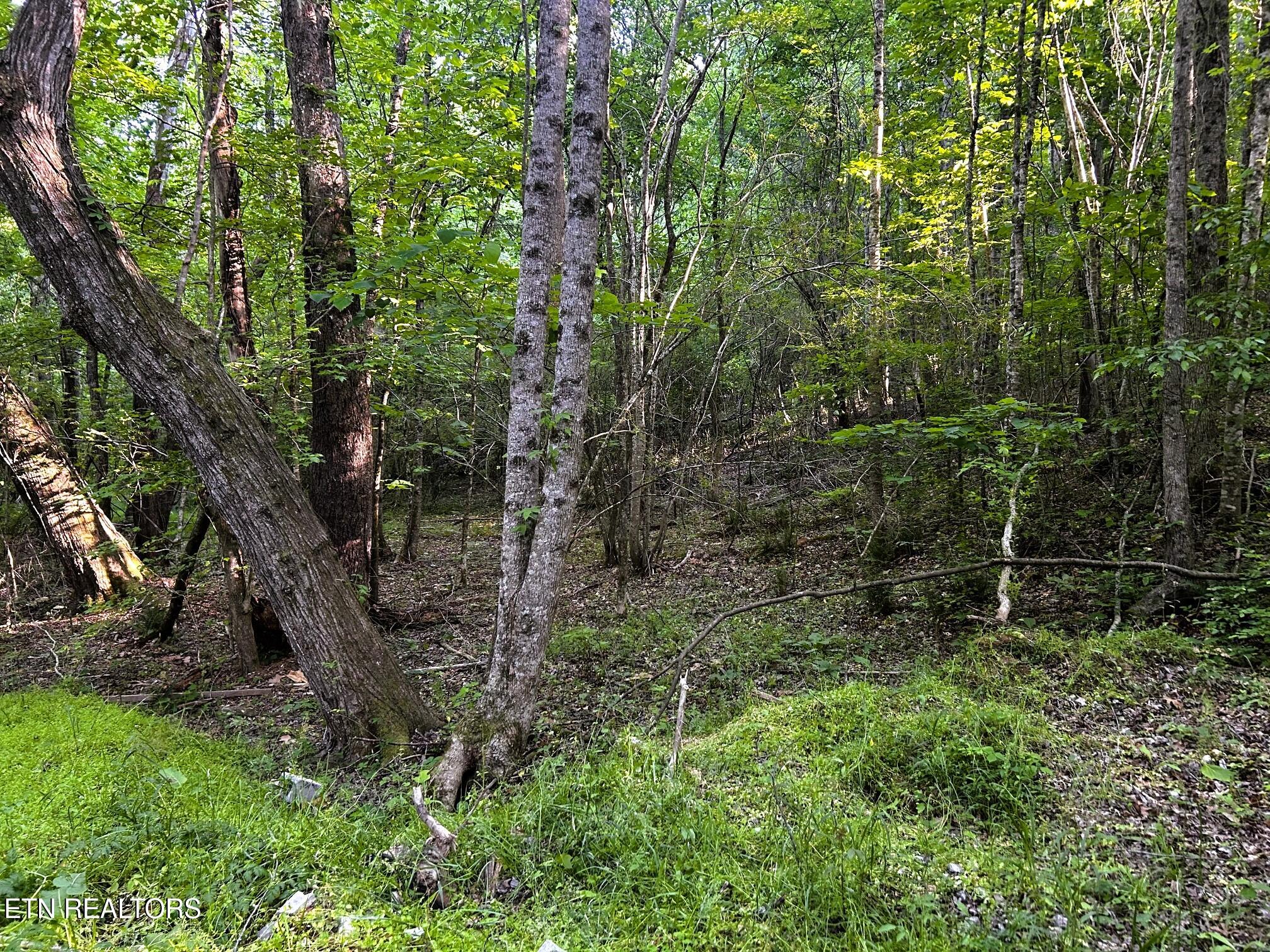 Tract 9 Pleasant Hill Road Ten Mile TN 37880